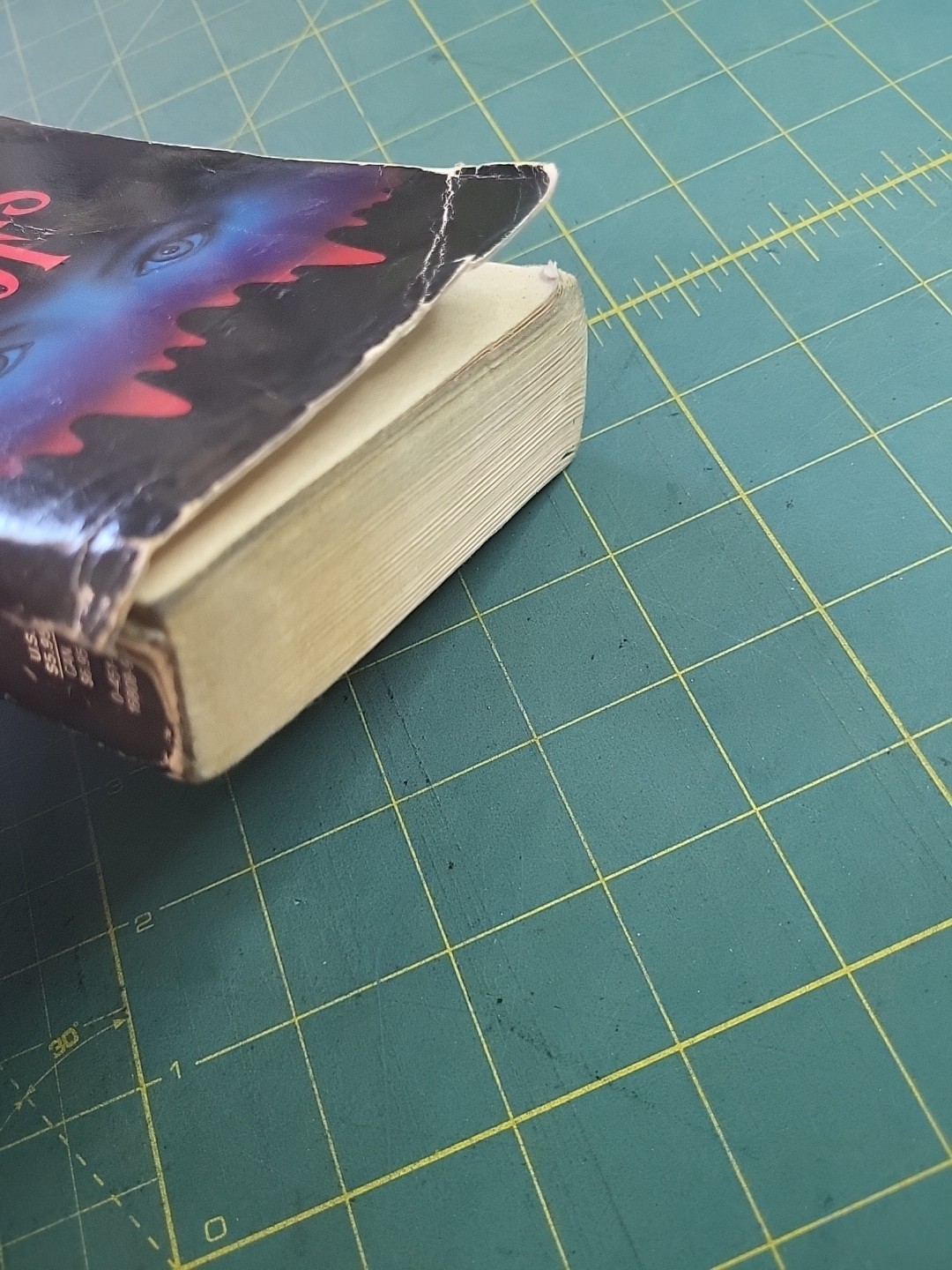 Stephen King &lsquo;SALEM&rsquo;S LOT – Signet Paperback – 1976 Horror Vintage Vampires