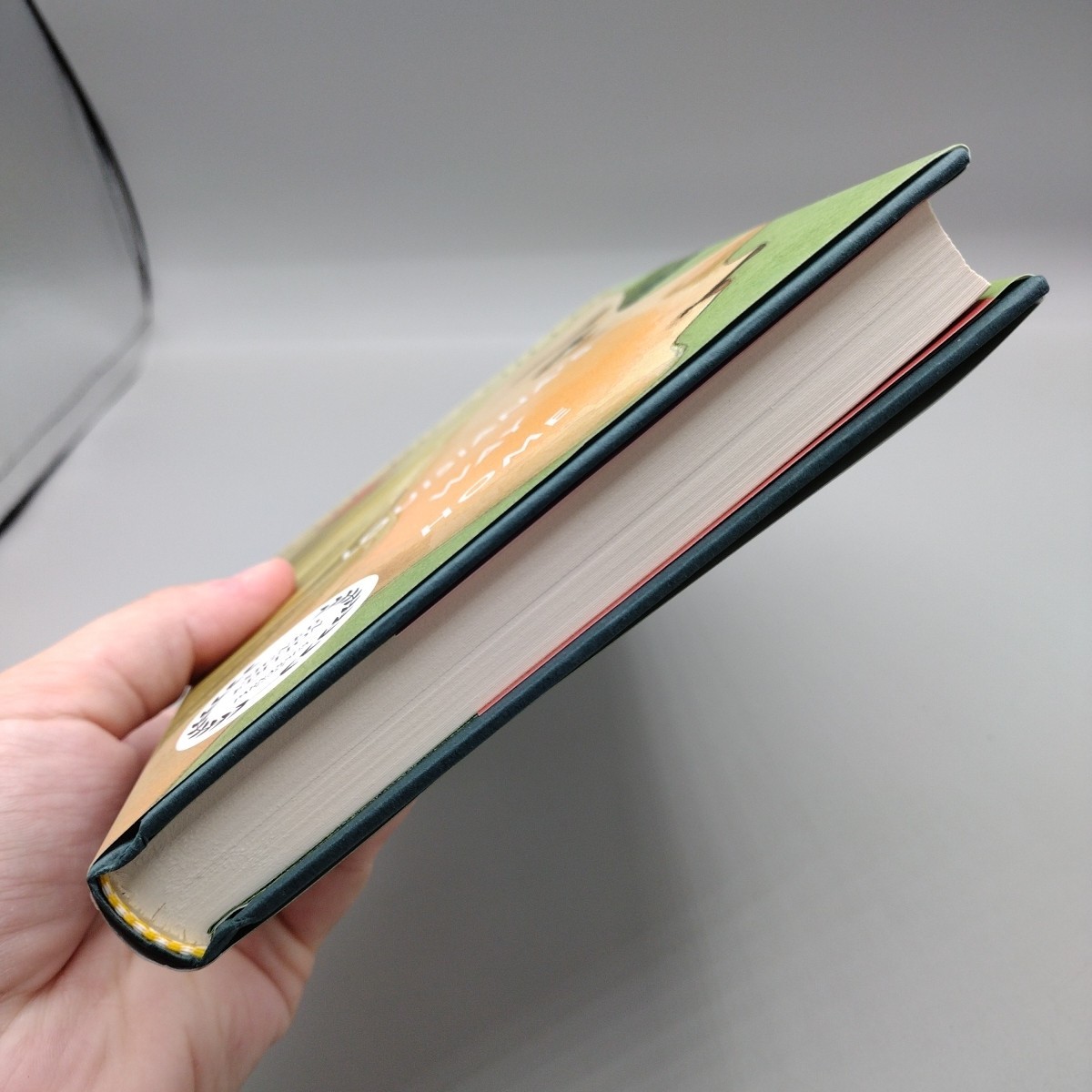 Louisiana&rsquo;s Way Home Hardcover By Kate DiCamillo Signed Edition Parnassus Books