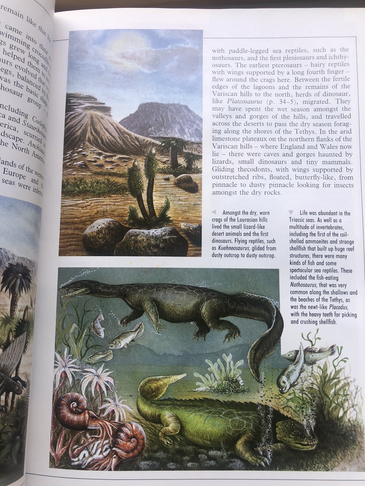 Illustrated Dinosaur Encyclopedia by Dougal Dixon (1988, Hardcover)