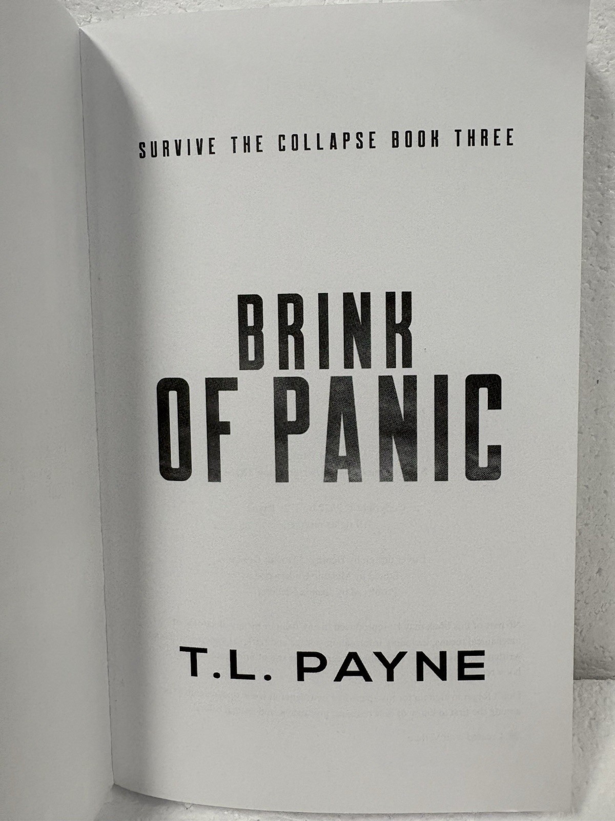 Lot Of 6 Books By T. L. Payne: Rain Of Darkness (1,3,4) & Survive The Collapse