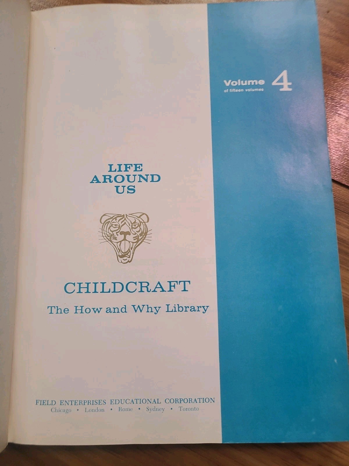 Vtg Childcraft Children&rsquo;s Books Hardcover 1964 Books Missing 3 & 13. Rainbow