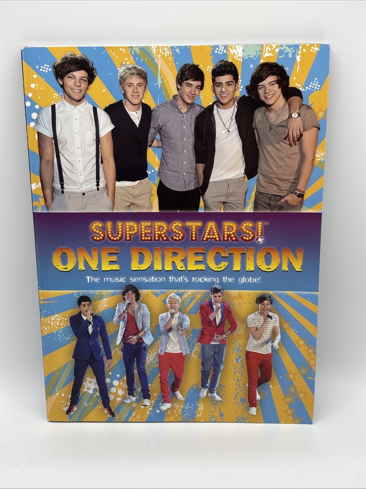 One Direction Book Lot 2 Scholastic Straight to the Top Superstars Hardcover