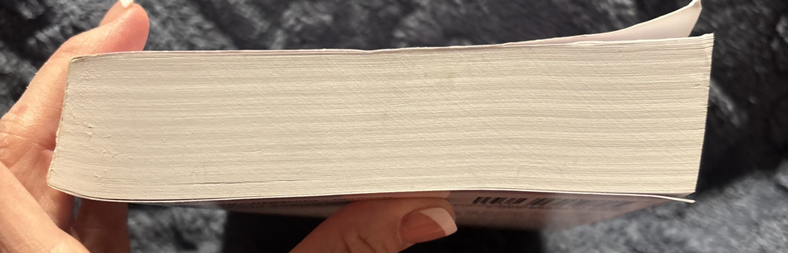 W Pink&rsquo;s Studies in the Scriptures – 1922-23 by Arthur W. Pink (2001, Trade…