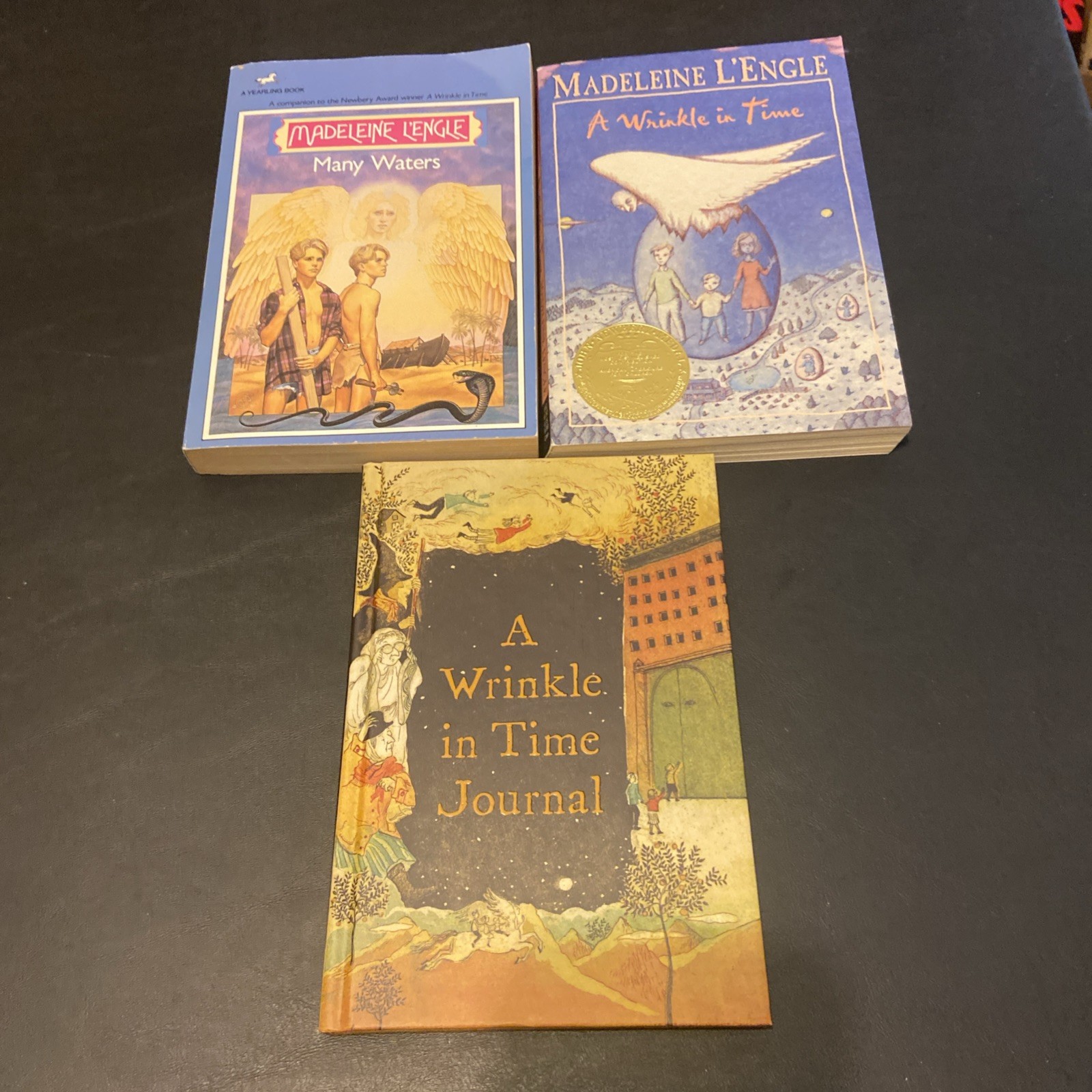 Madeleine L&rsquo;Engle Fiction Lot Of 9 HCs & PBs Includes Journal G-VG Condition