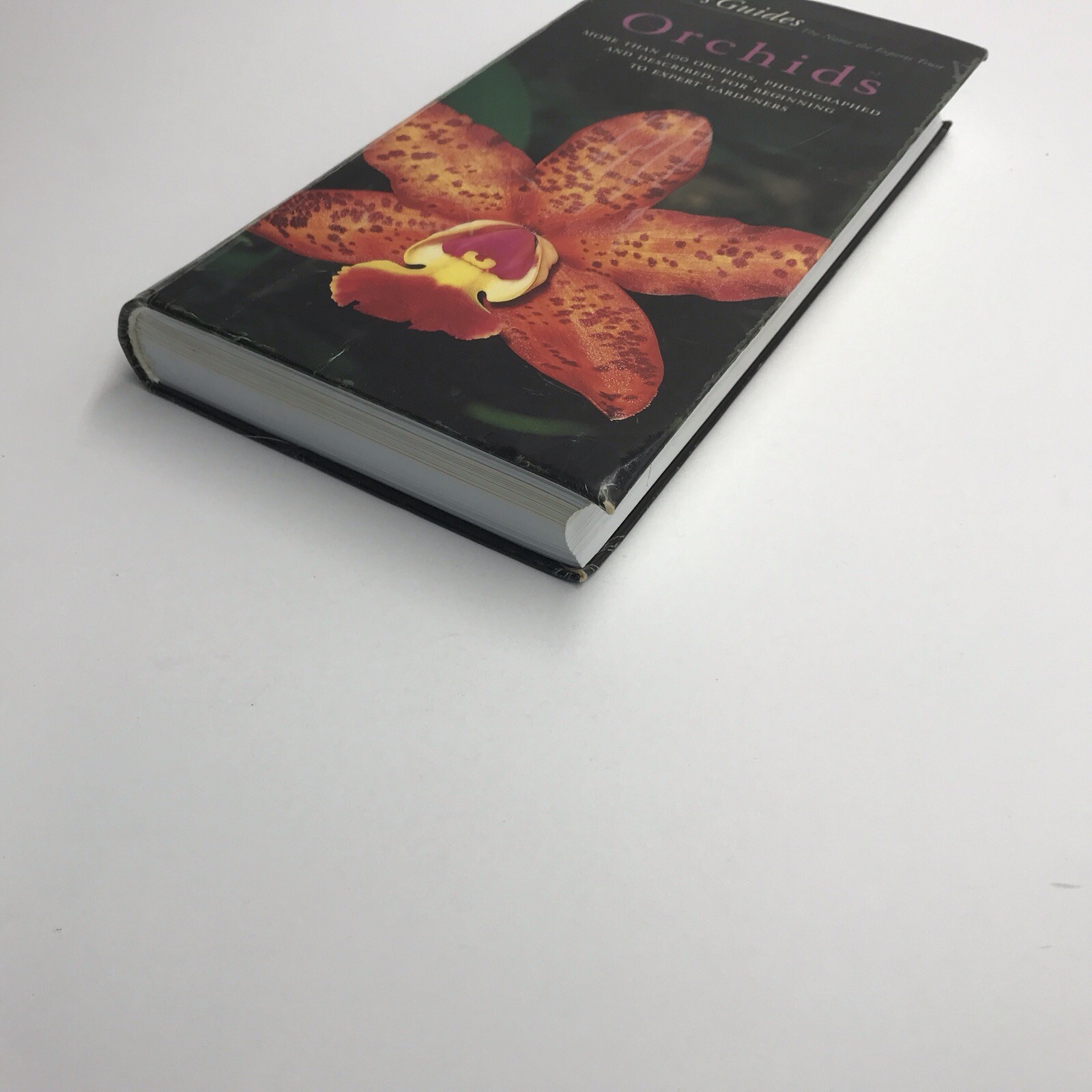 Taylor&rsquo;s Guide to Orchids~1996~Judy White~Ex Library
