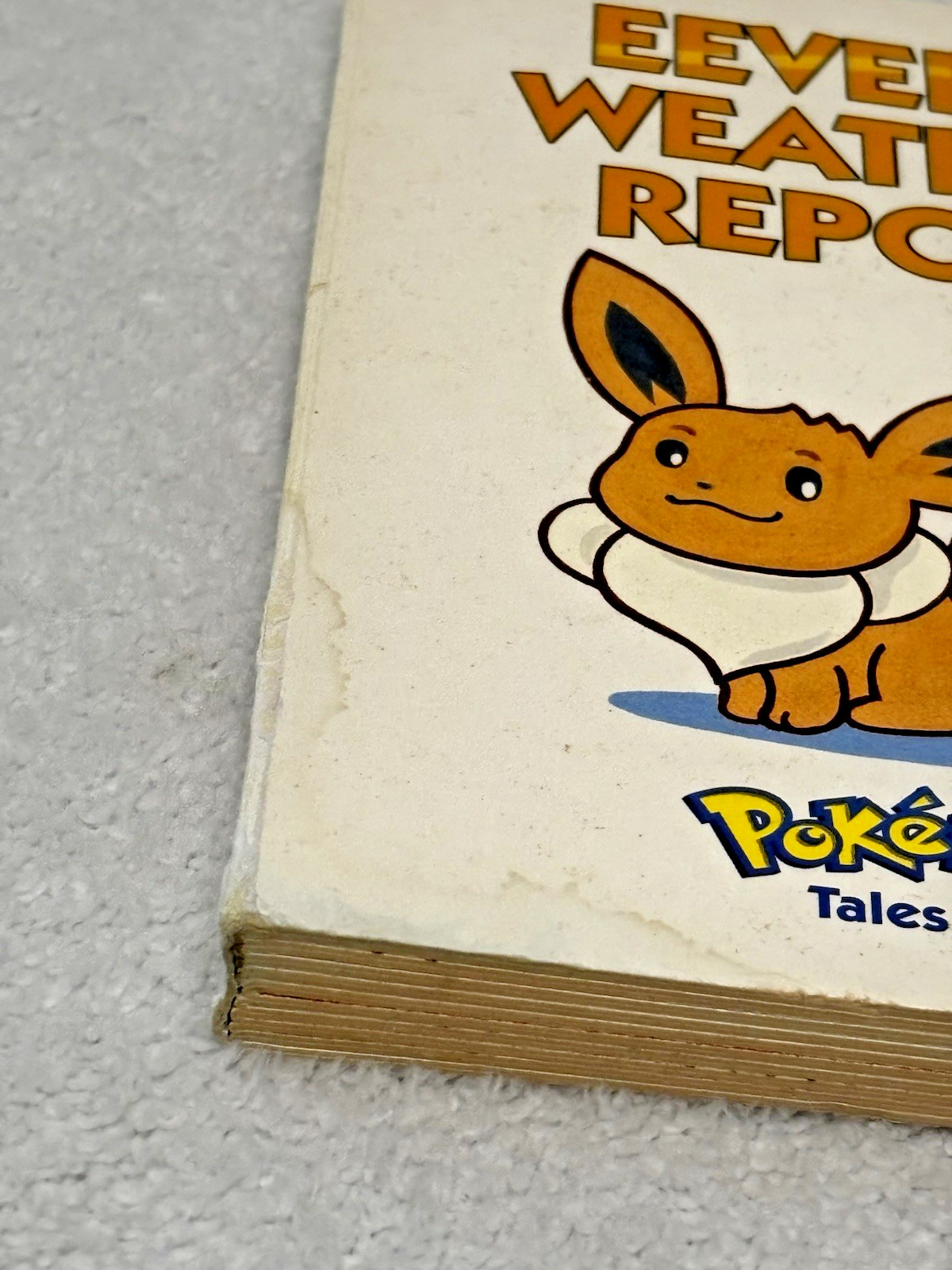 Pokemon Tales 13 Eevee&rsquo;s Weather Report Vintage HC Kids Book (2000) || pre-owned