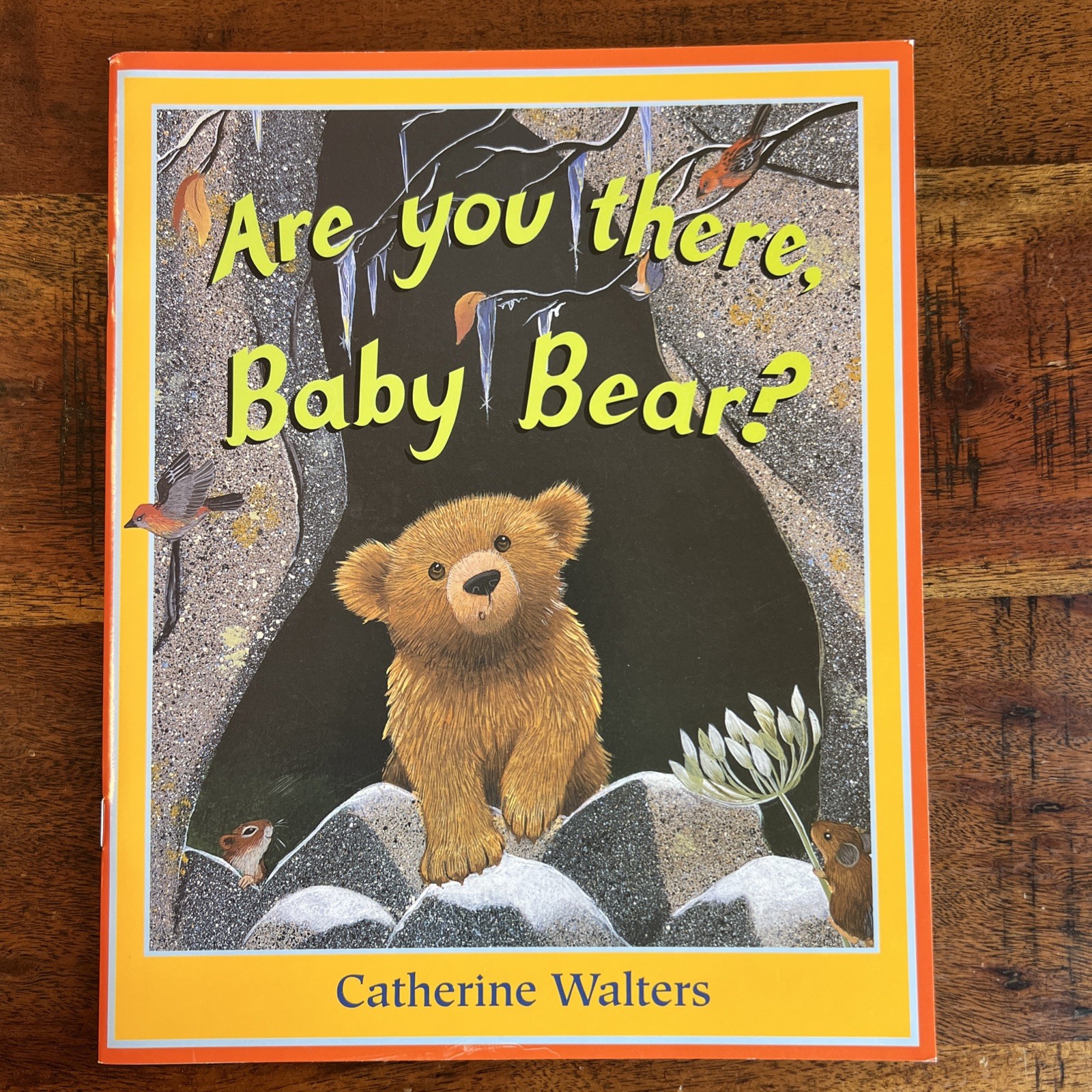 Random Lot of 17- Books for Children&rsquo;s/ Kids/ Toddler Babies/Preschool/Daycare
