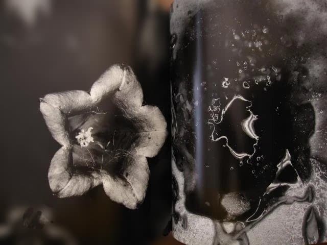 Nobuyoshi Araki « Erotos » Photo Book First edition Hardcover Japanese