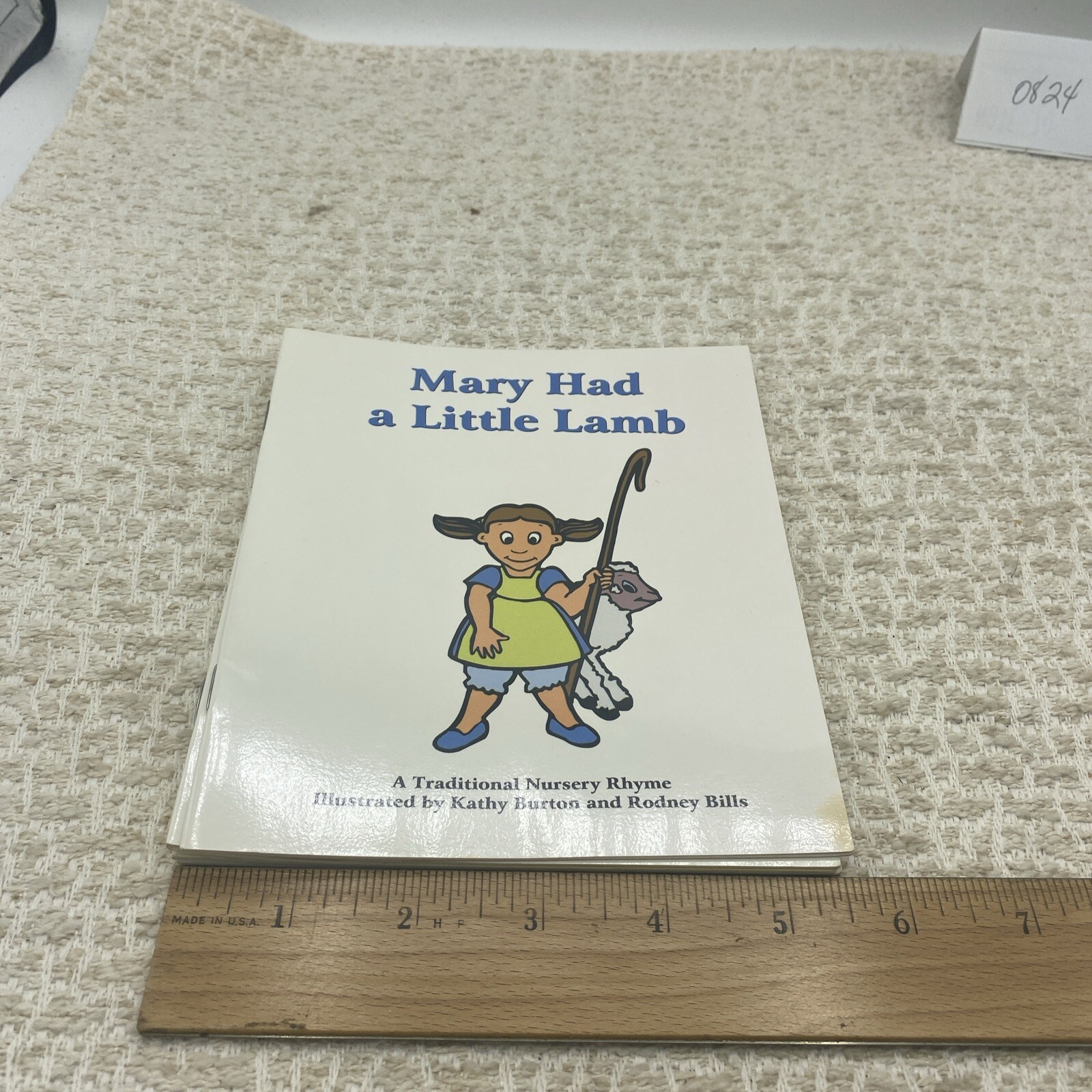 Collection of 6 Diverse Children&rsquo;s Picture Books – Educational and Storytime Fun