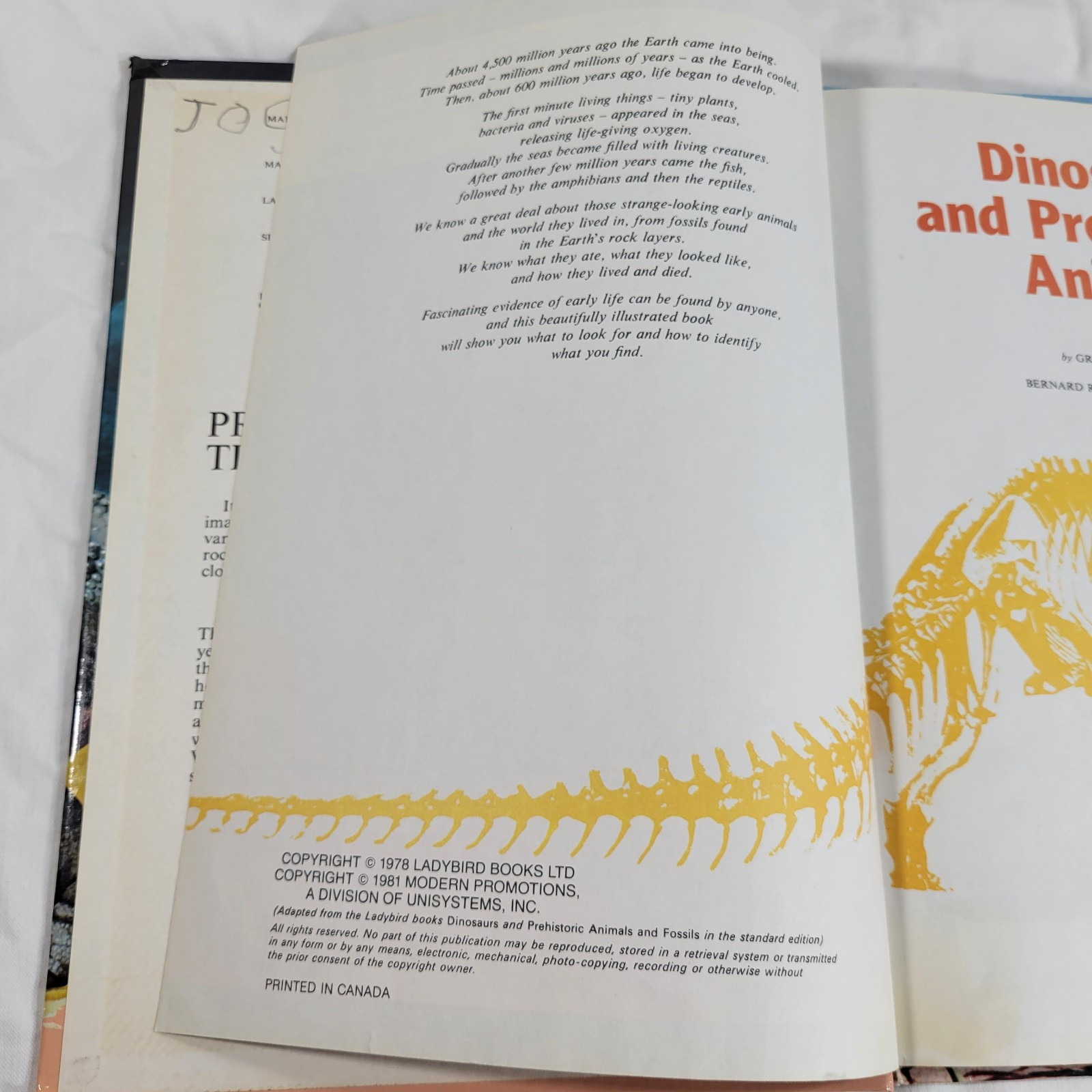 Dinosaurs And Prehistoric Animals Book Vintage 1981 Kid&rsquo;s Hardcover Honey Bear