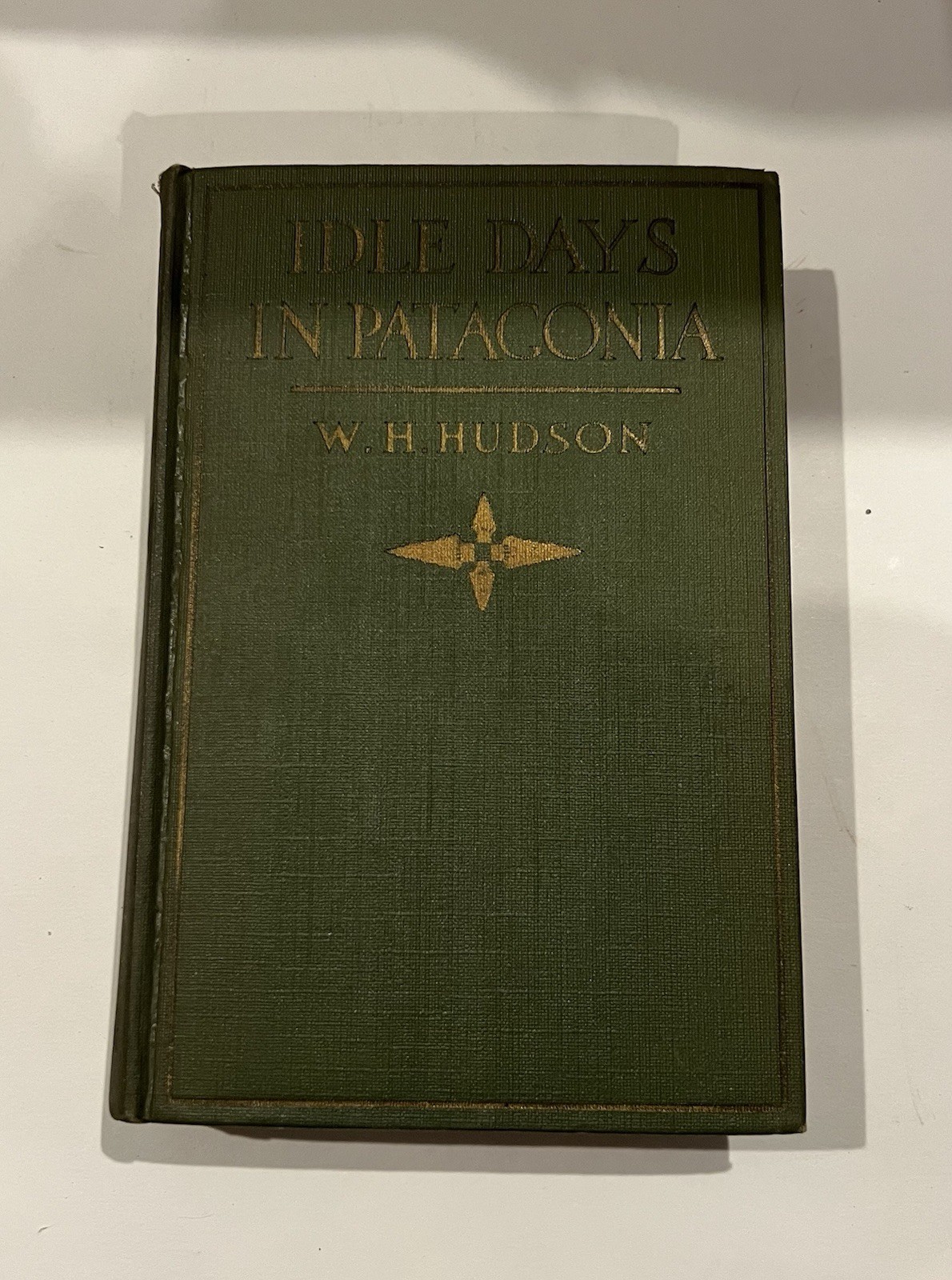 Idle Days in Patagonia W.H. Hudson 1917 hardcover book