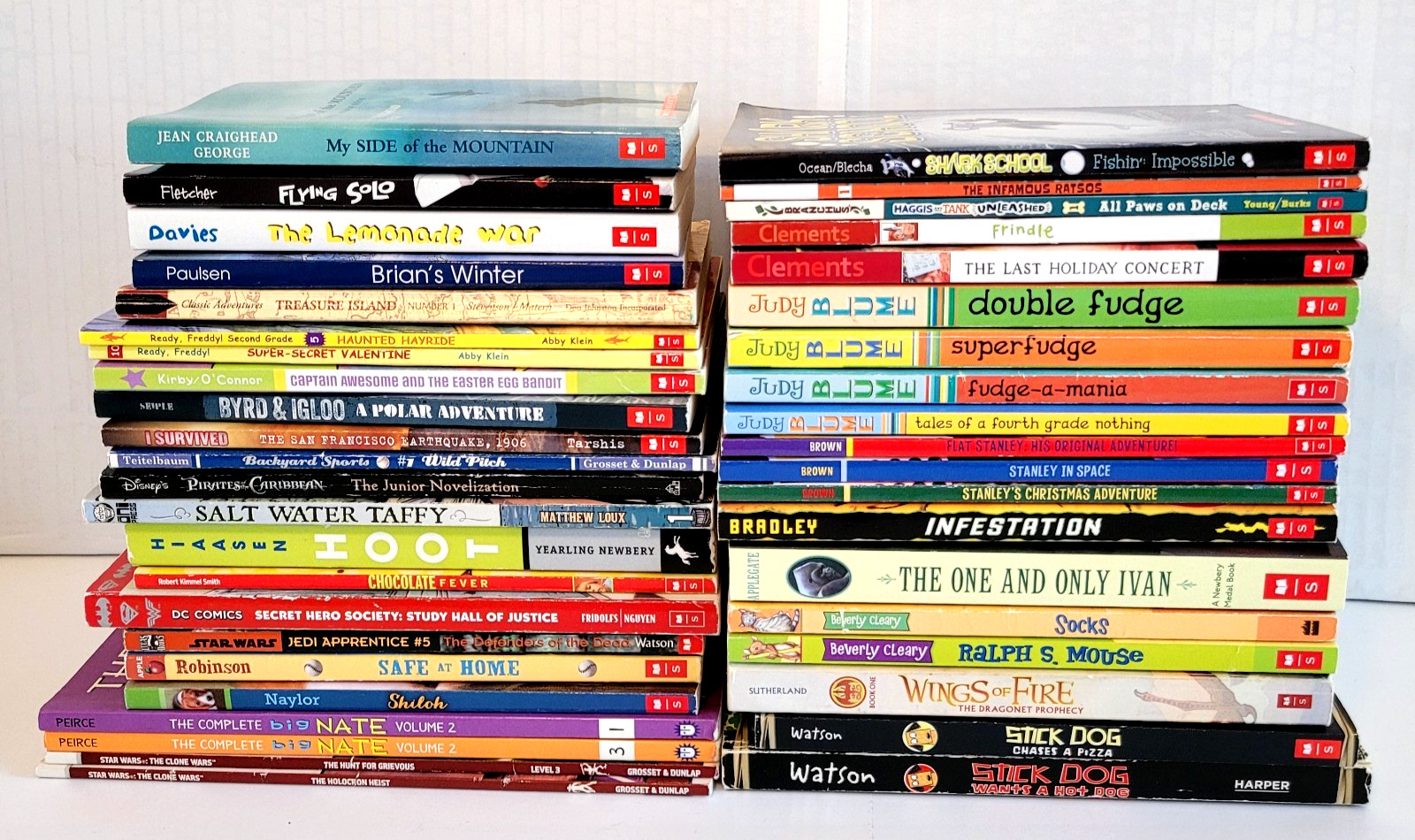 Boys 3rd/4th/5th/6th Grade Chapter Books Lot of 42 Homeschool PB Scholastic
