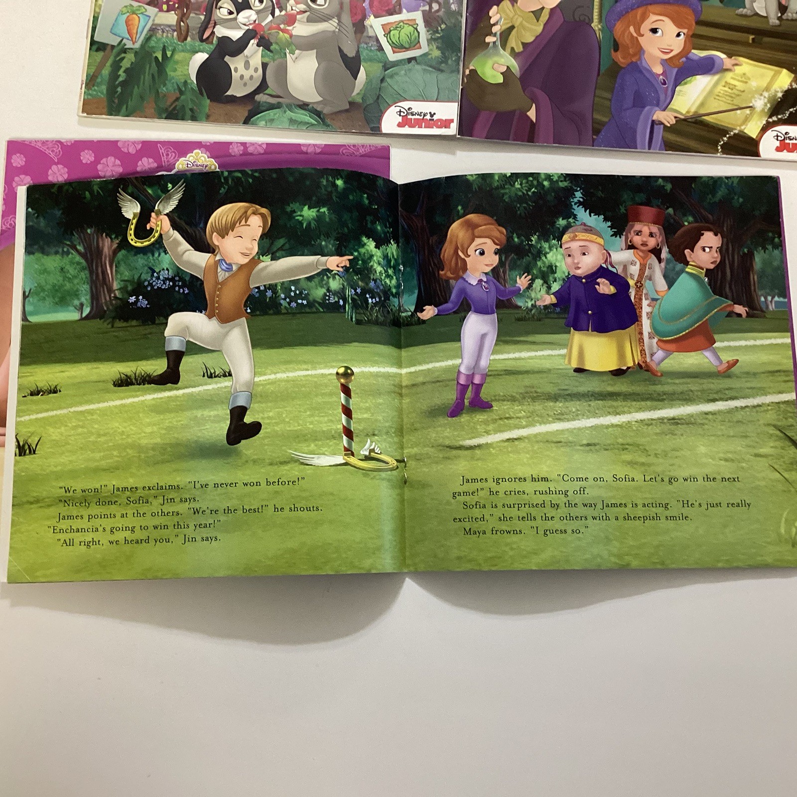 Sofia the First Preschool Kindergarten Picture Children&rsquo;s Story 10 Book Lot