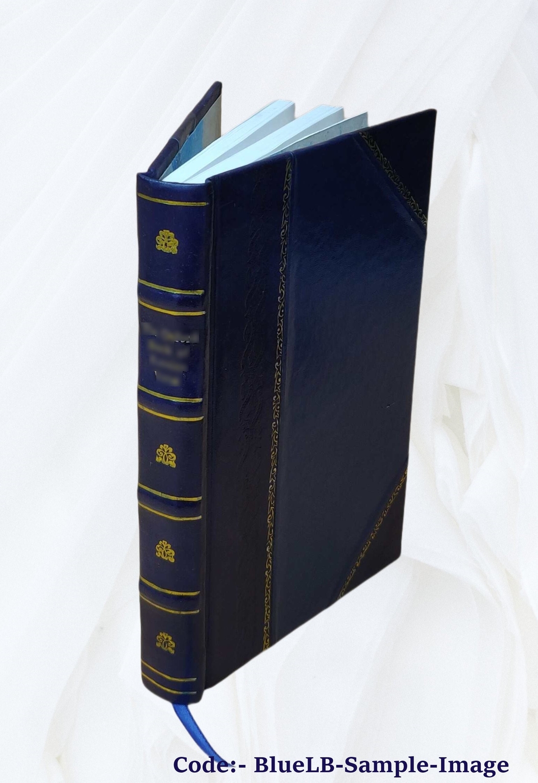 Atonement Soteriology 1888 By S. G. Burney [Leather Bound]