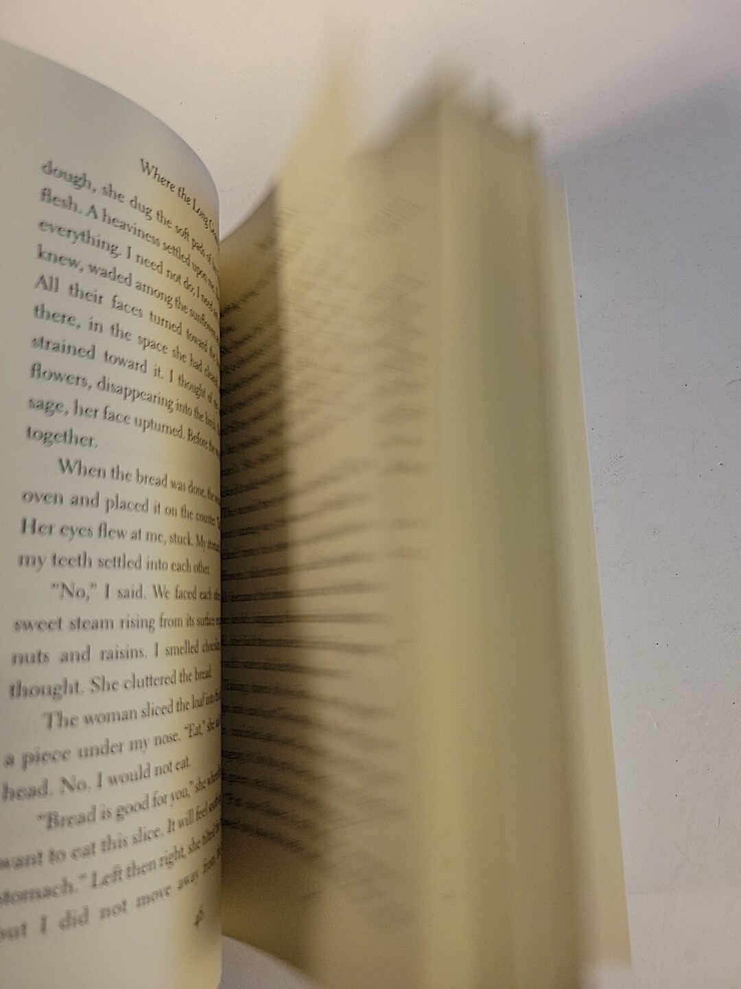 Where the Long Grass Bends : Stories by Neela Vaswani (2004, Trade Paperback)