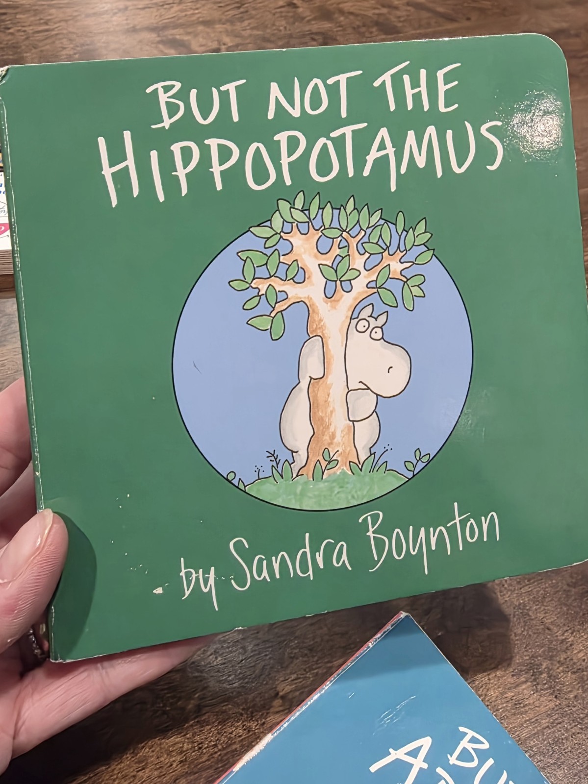 Lot (5) Sandra Boynton Board Books