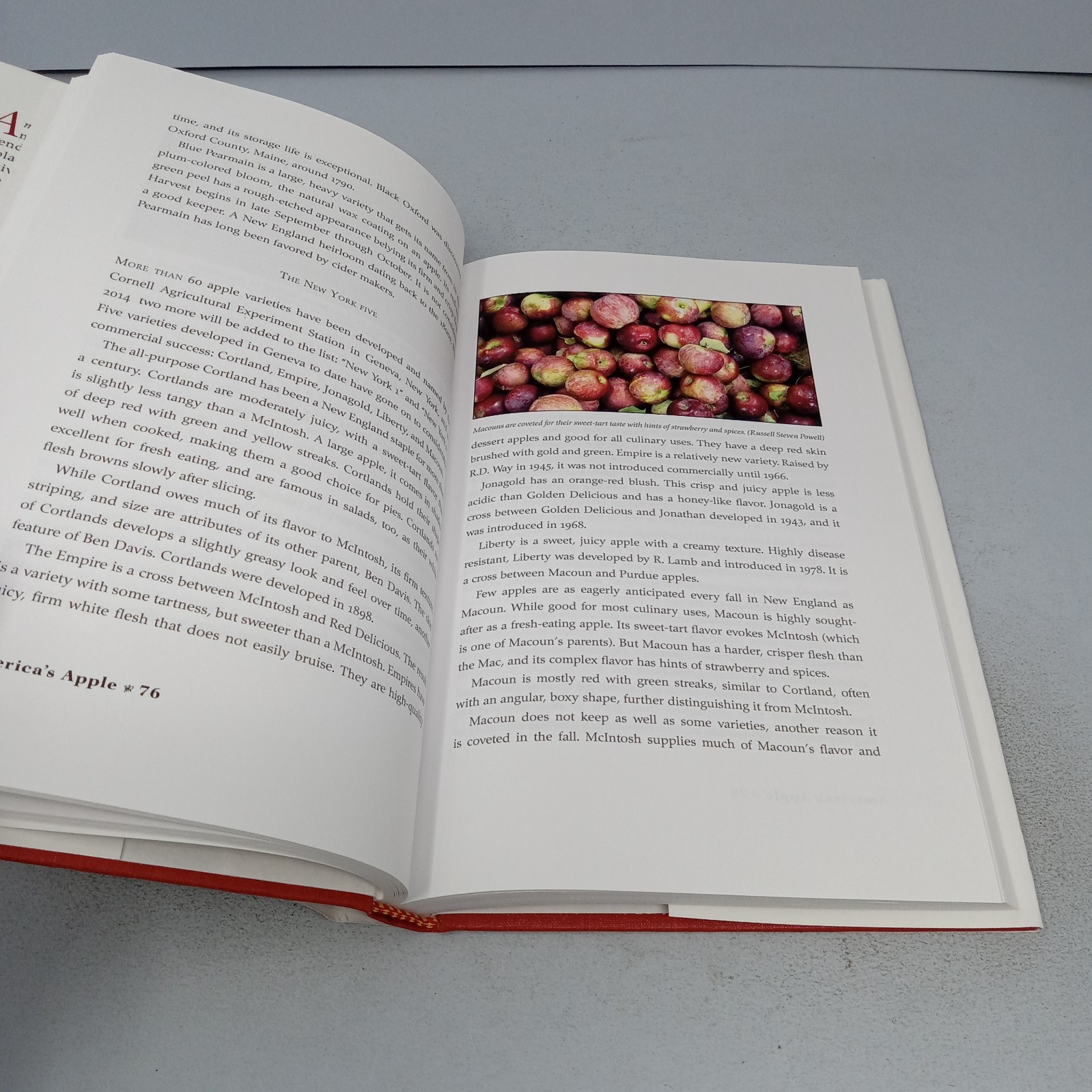 America’s Apple: 2012 Brook Hollow Press Hardcover by Russell Steven Powell