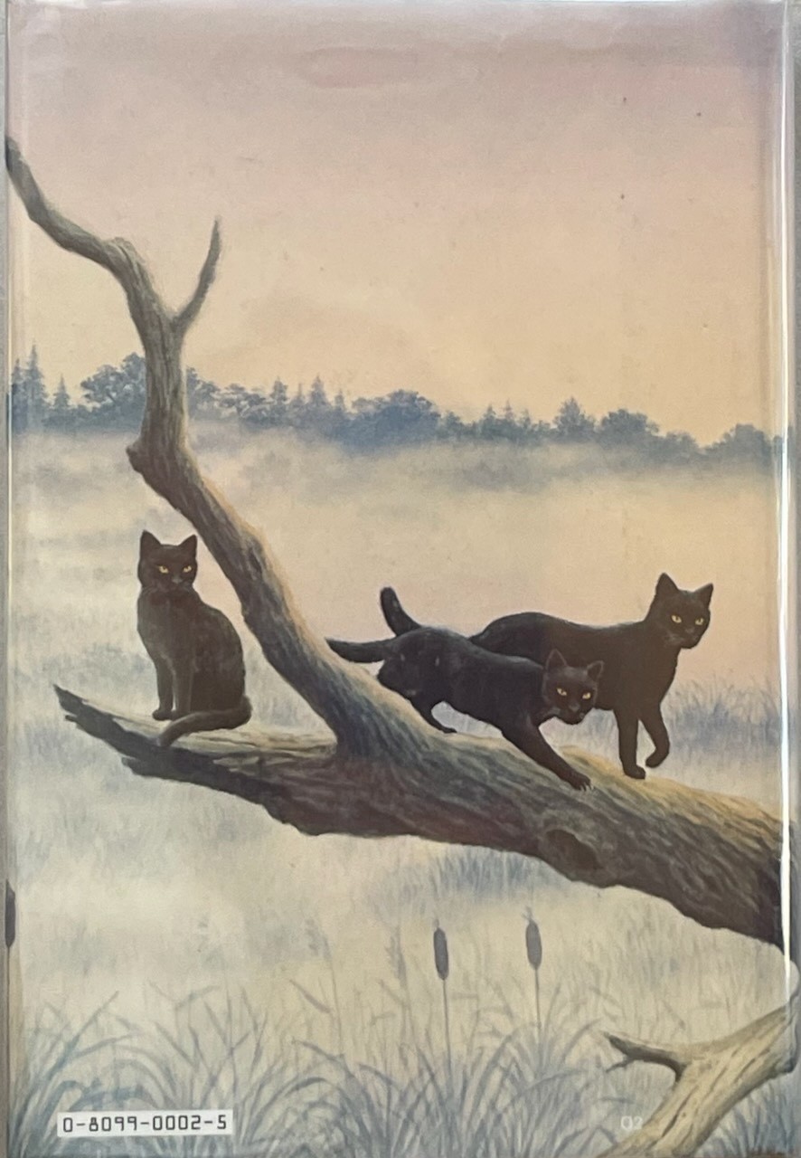 Tailchaser&rsquo;s Song / Tad Williams / DAW HC DJ 1st/1st VG