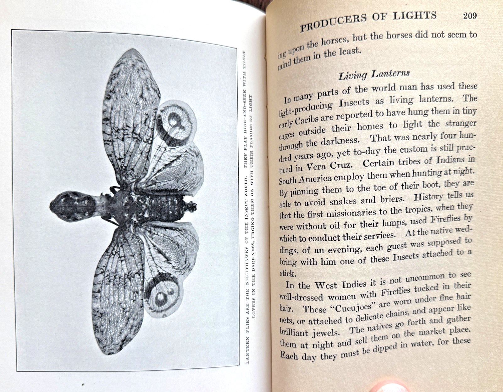 1924 1st Ed PERSONALITY of INSECTS by R. Dixon & B. Eddy HB/247pp/ILLUSTRATED