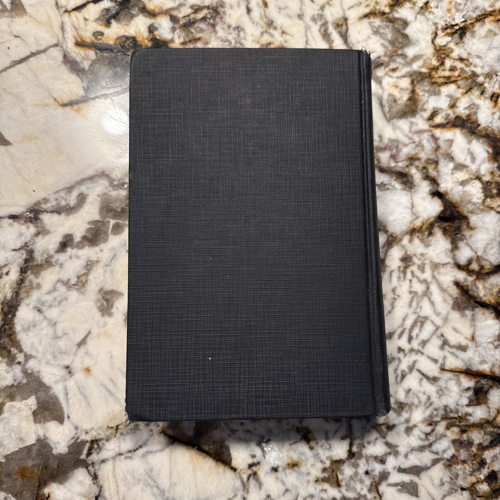 1927 The Life of Pastor Rene Gallery-Radot Hardcover Garden City Publishing Bio