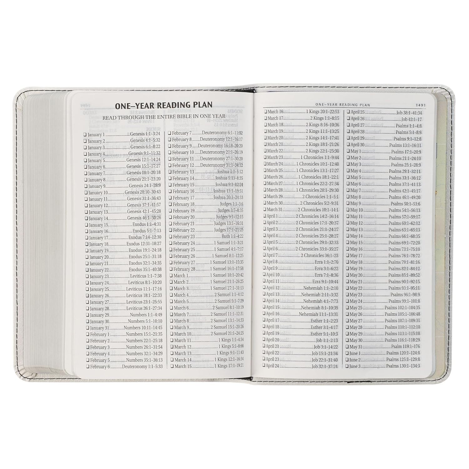 Holy Bible Compact Large Print Vegan Leather Red Letter Edition – Ribbon Marker
