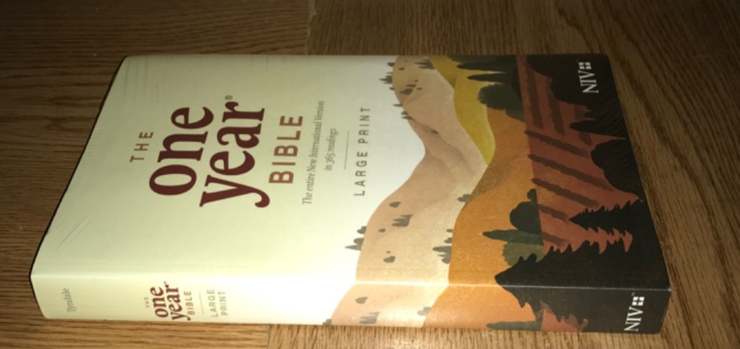 THE ONE YEAR BIBLE INTERNATIONAL VERSION 365 READINGS LARGE PRINT NEW IN PLASTIC