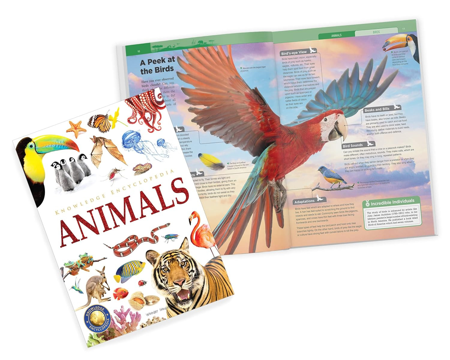 Knowledge Encyclopedia – Boxset of 8 Books for Children (Knowledge Encyclopedia