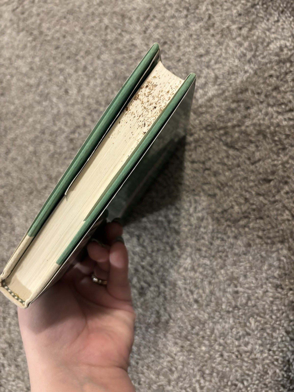The Eyes of the Dragon by Stephen King hc/dj 1st Edition/1st Printing