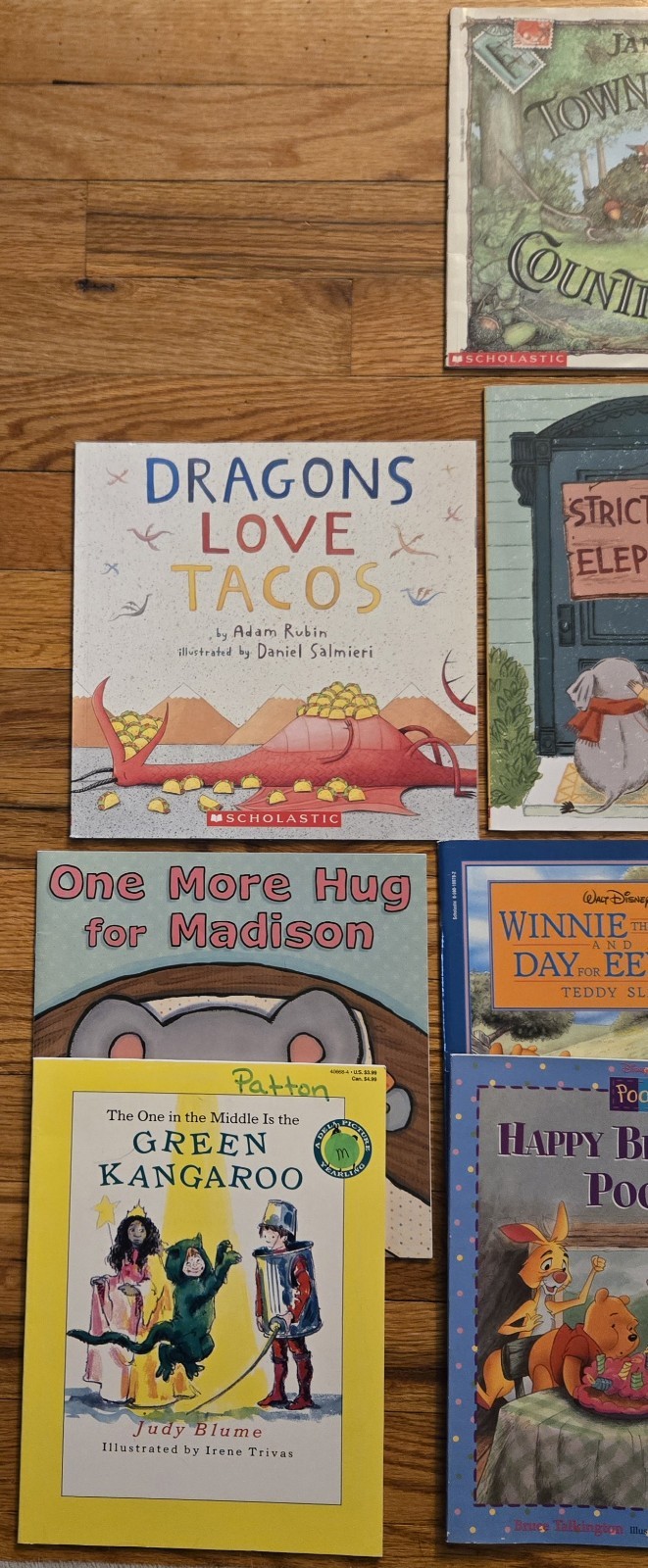 Random Lot of 18 Children&rsquo;s Reading Books Scholastic National Geographic Etc