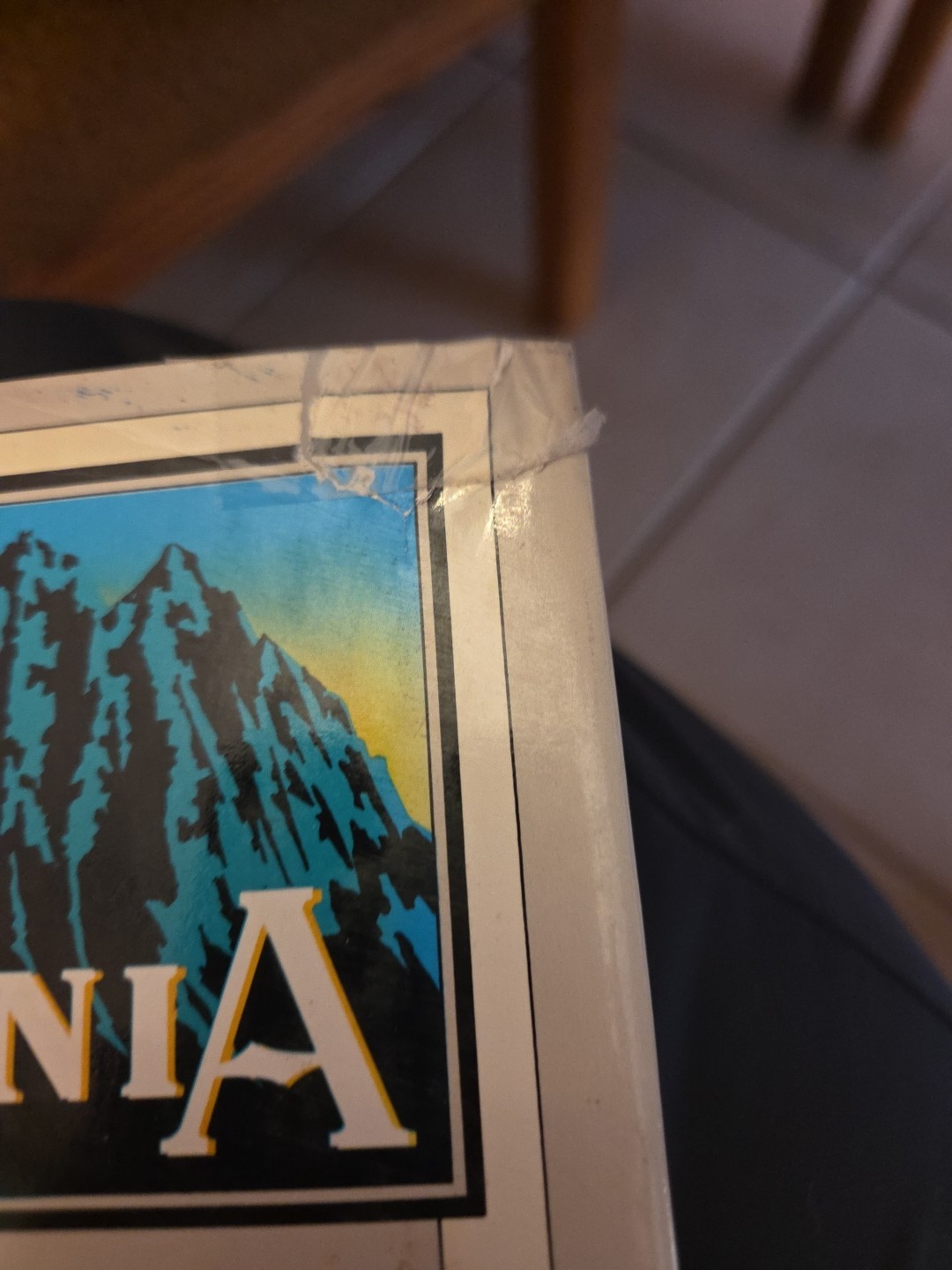 In Patagonia by Bruce Chatwin (1978, Hardcover)