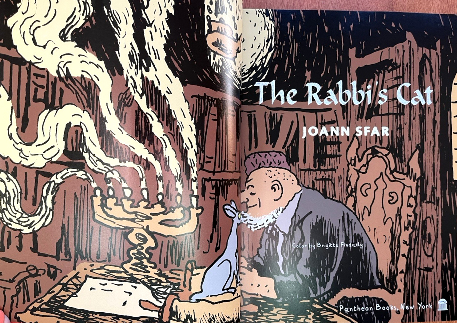 The Rabbi&rsquo;s Cat graphic novel (2005 1st American paperback edition, SC) Like New