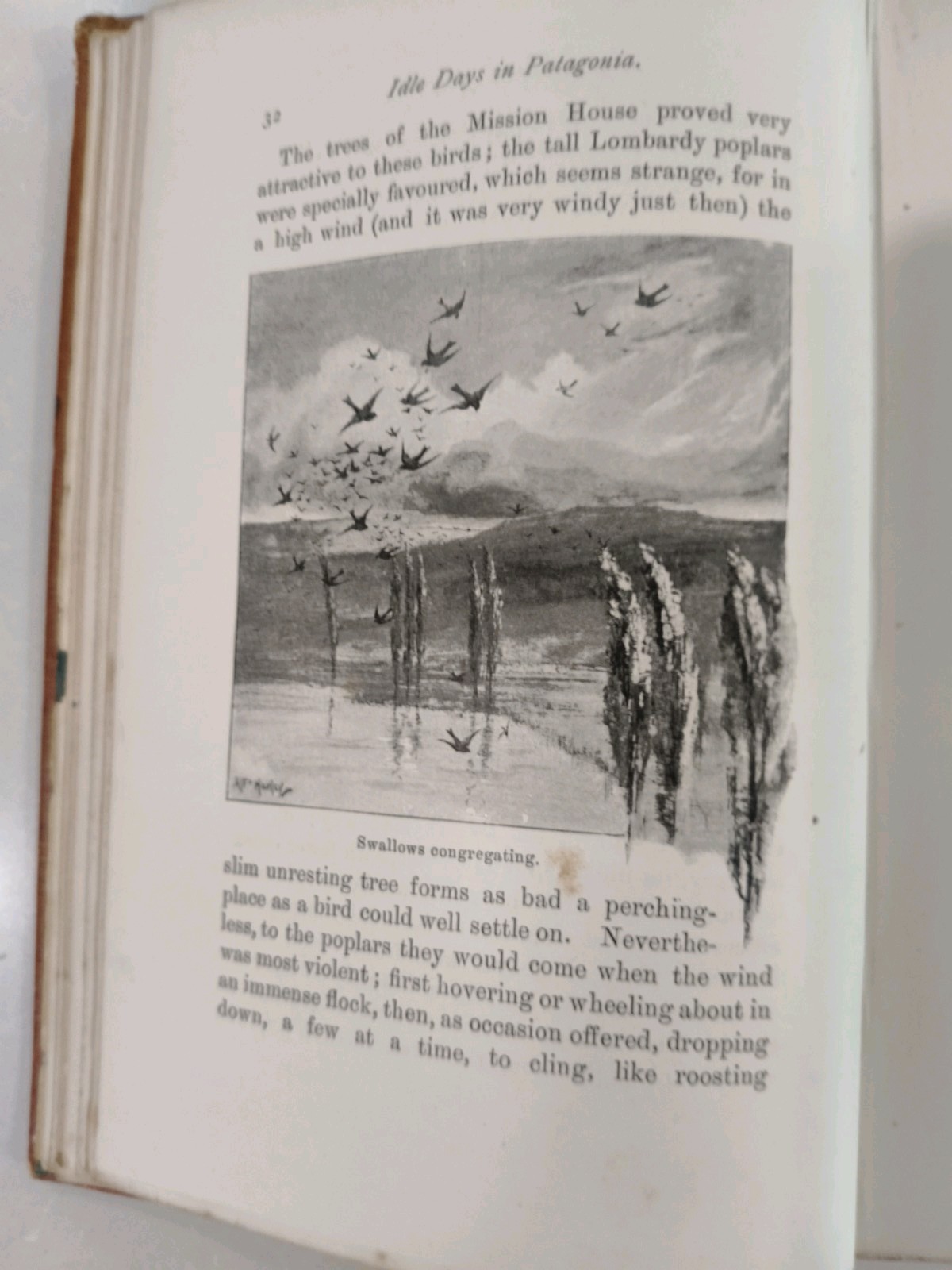 Idle Days in Patagonia W. H. Hudson 1893 1st Edition True First Chapman & Hall