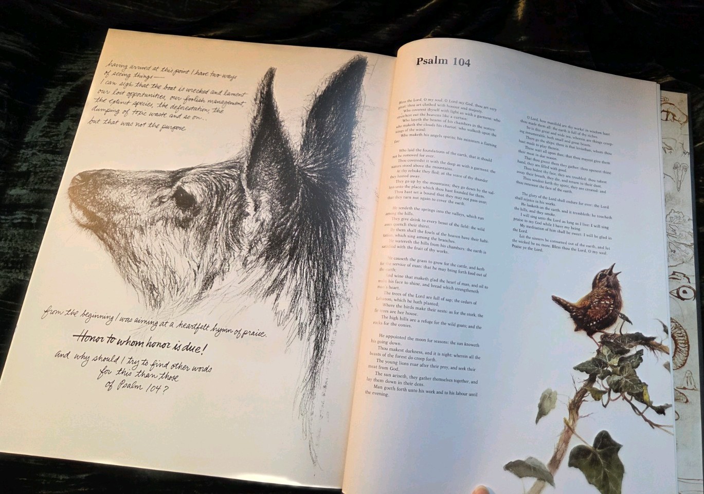 NOAH&rsquo;S ARK Animal Art by Rien Poortvliet 1986