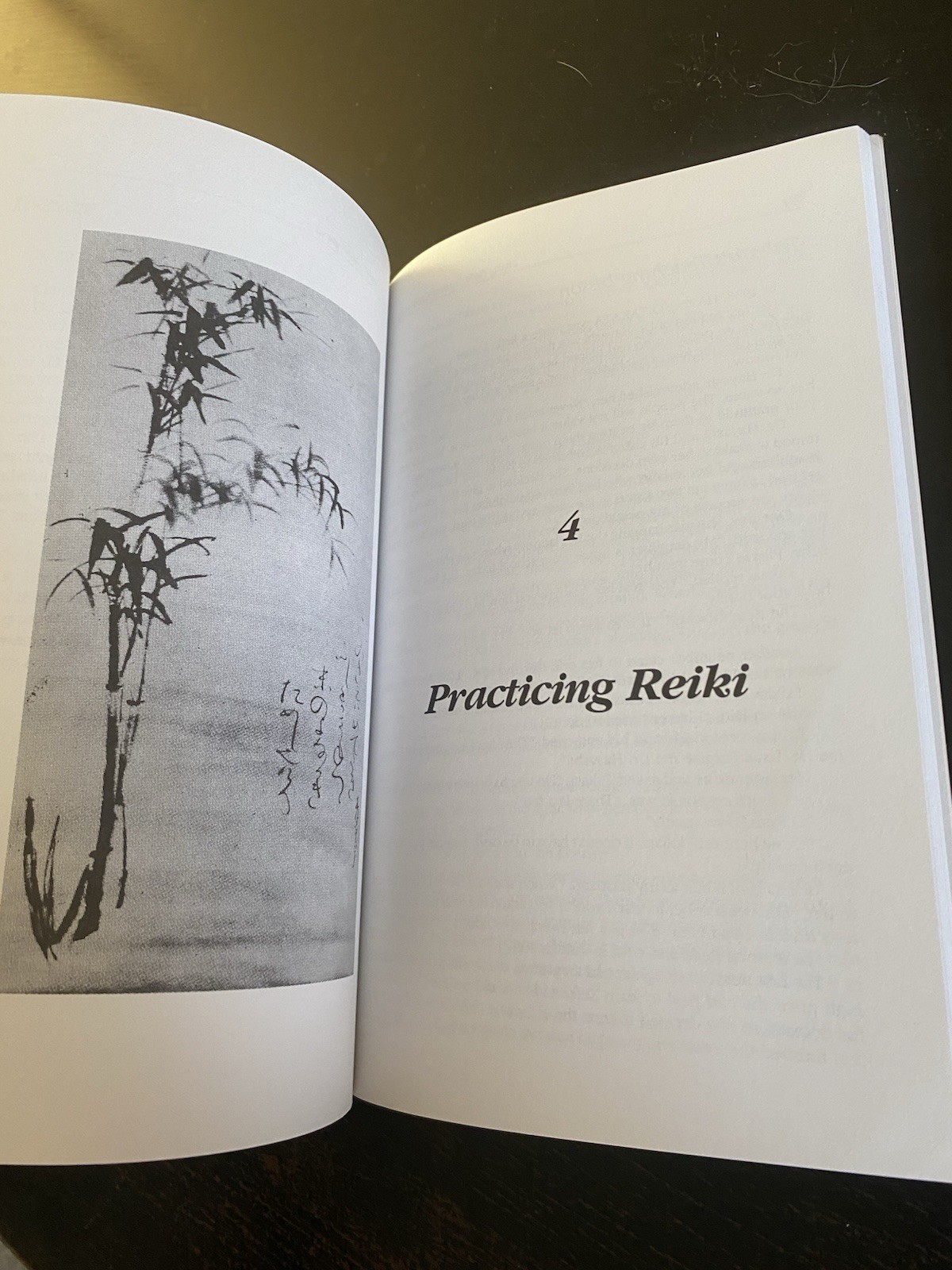 Living Reiki: Takata&rsquo;s Teachings – Paperback By Brown, Fran – GOOD