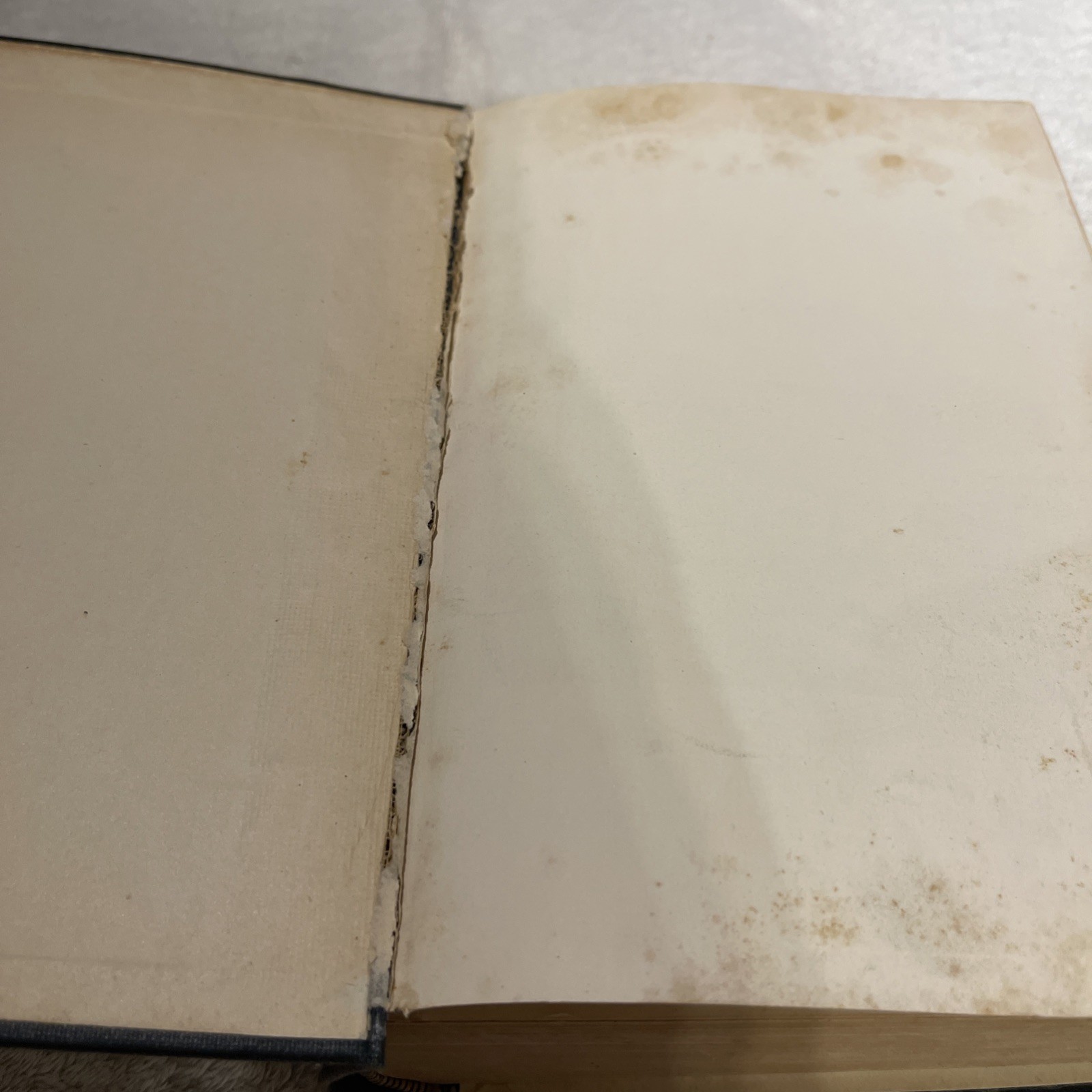 A Dictionary of the Bible – John D. Davis -The Westminster Press 1911