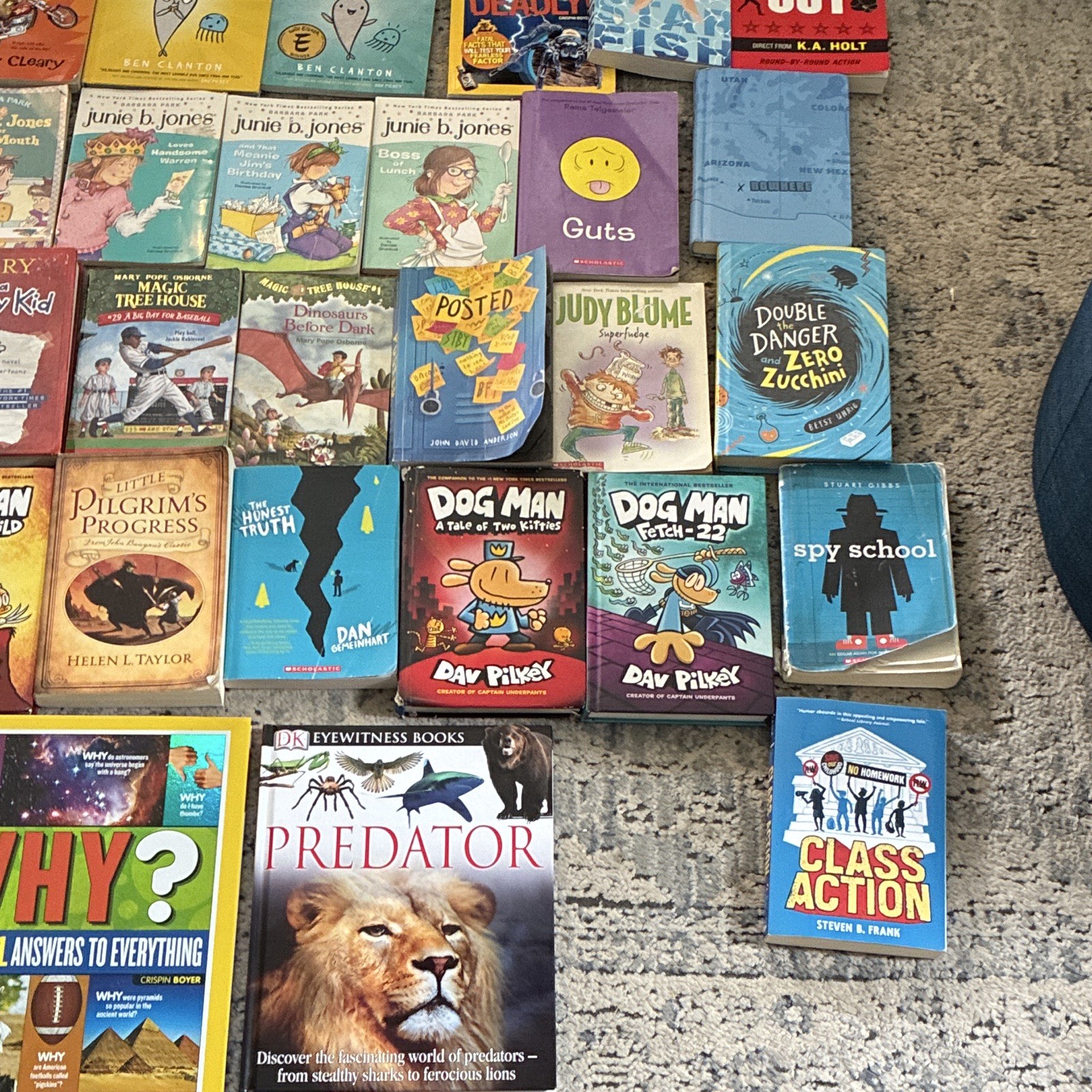 43 Scholastic Mixed Lot Ages 7-12 Paperback Books