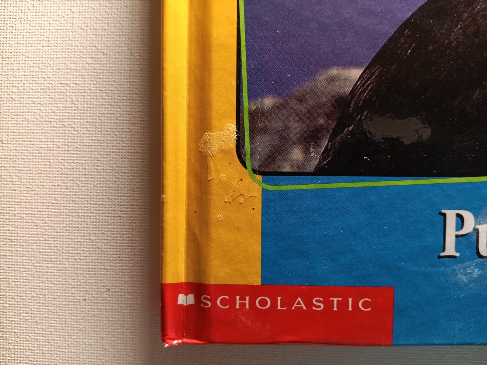 Scholastic Getting to know Nature&rsquo;s children Animal Books Lot of 6 (hard cover)