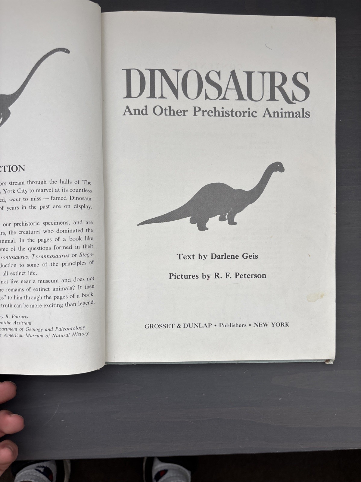 1976 Dinosaurs and Other Prehistoric Animals by Darlene Geis Grosset & Dunlap HC
