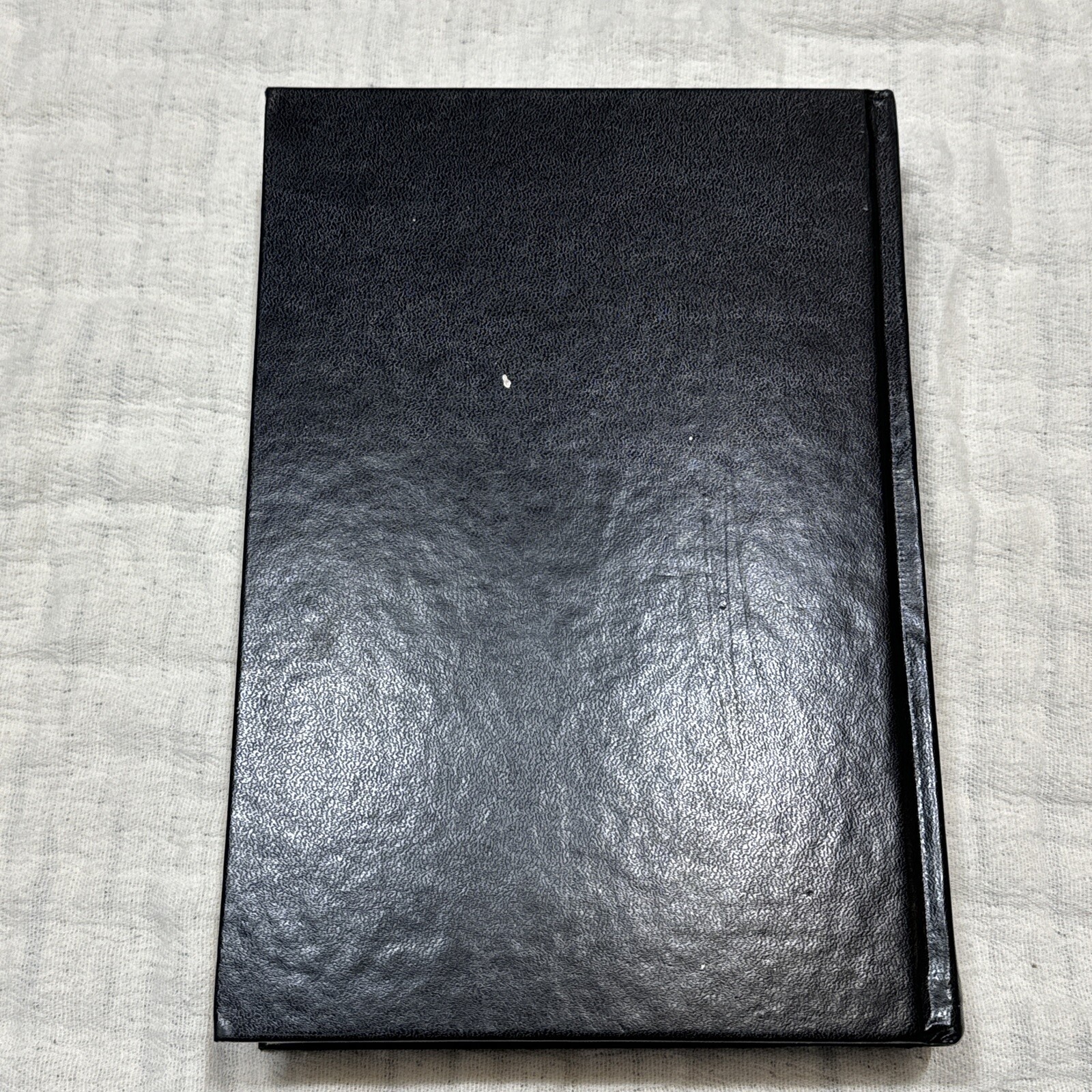 Russian-English Parallel Bible 7″X 9 Hardcover Leather 2004 Synodal Translation