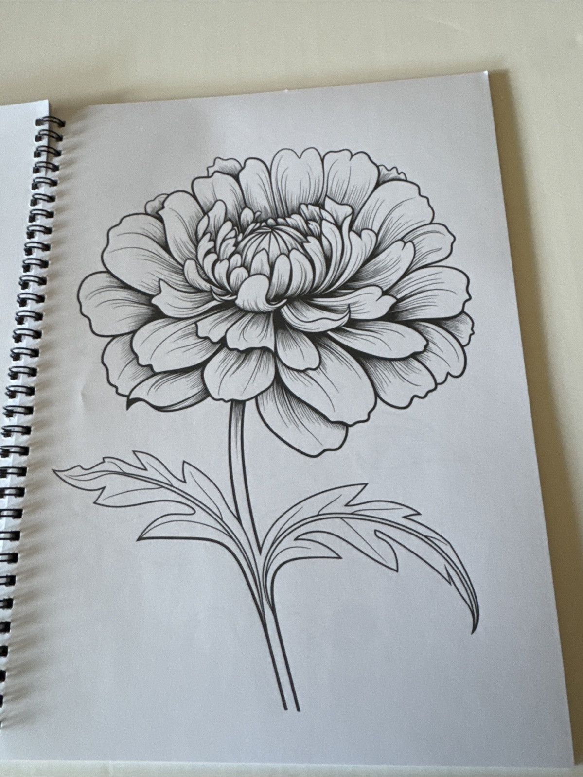 8 1/2 X 11 Spiral Adult Coloring Book Multicolored Flowers NEW Shipping Included