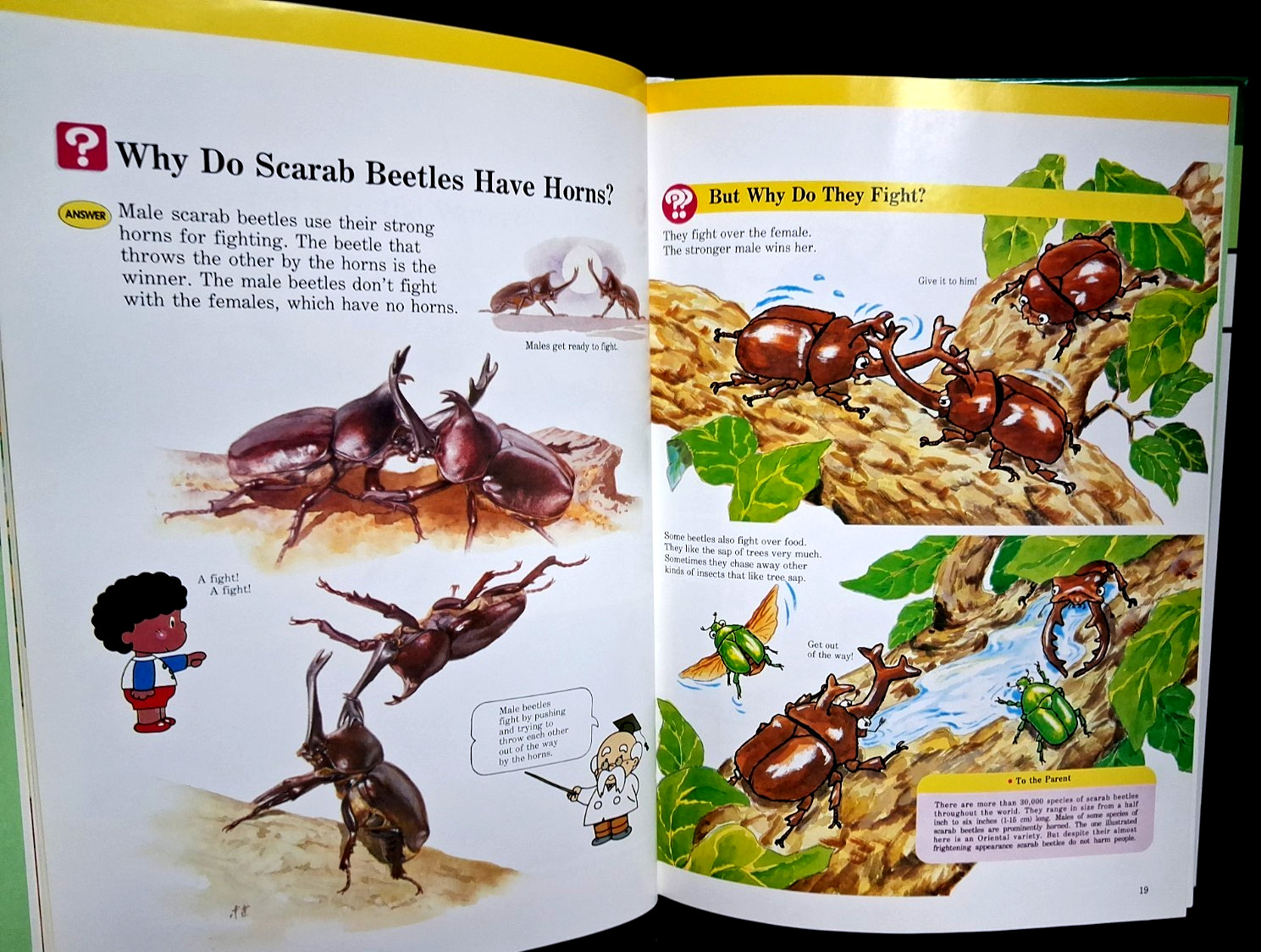 Lot of 3 A Child&rsquo;s First Library of Learning Famous Places, Insects, Sky & Earth
