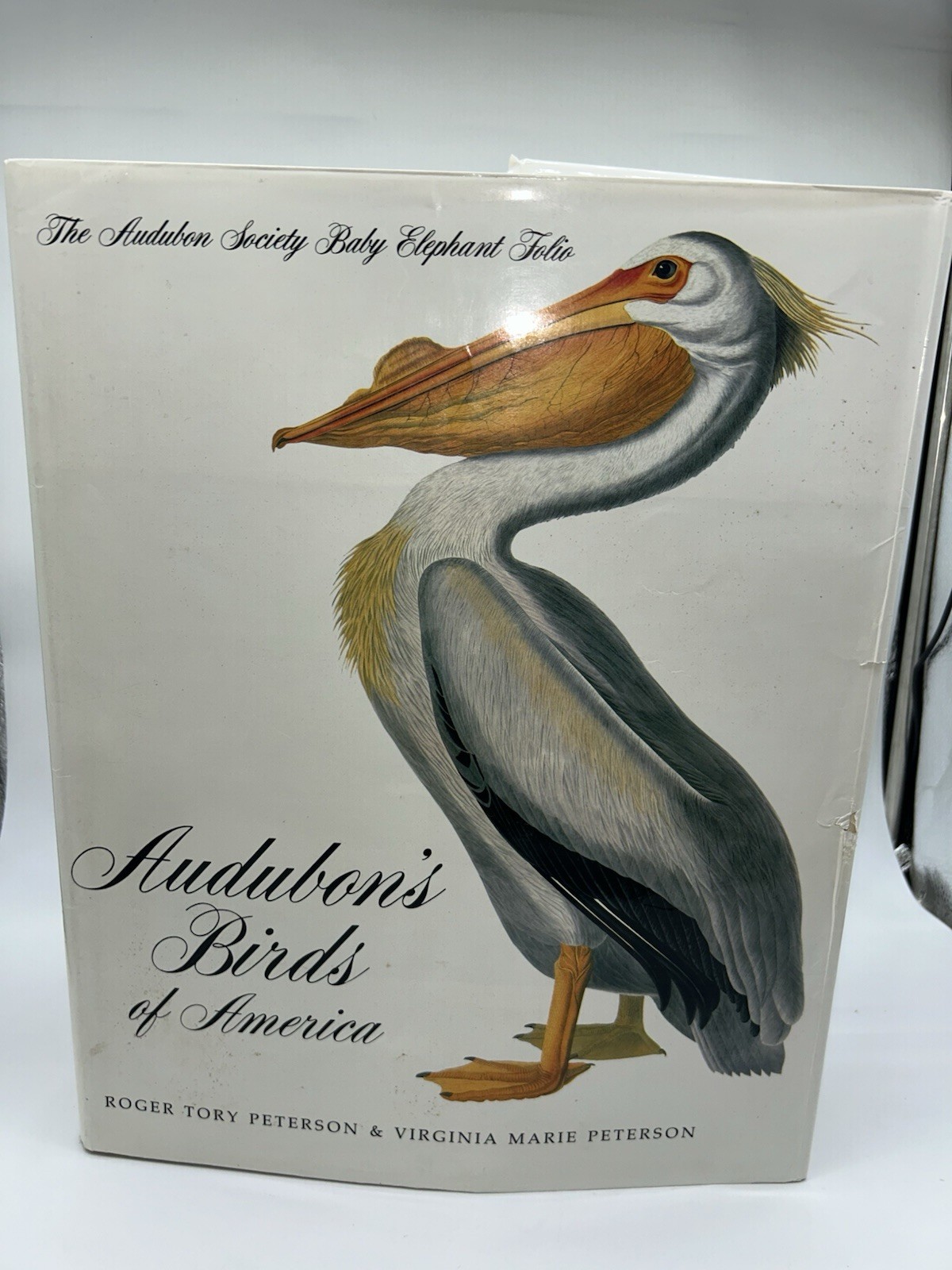 Audubon&rsquo;s Birds of America Peterson Harrison House Audubon Society 435 Pgs 5B