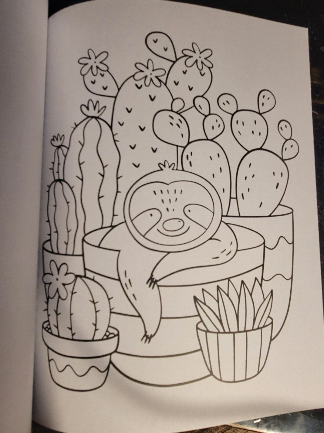 COLOR ME MAGNIFICENT Vol 11 Adult Coloring Book With 47 Prints Ready To Frame