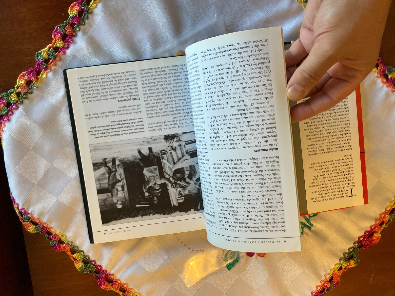 CHRIS BISHOP Hitler&rsquo;s Foreign Divisions 1940 SS Volunteers ©2005 Amber Books Ltd