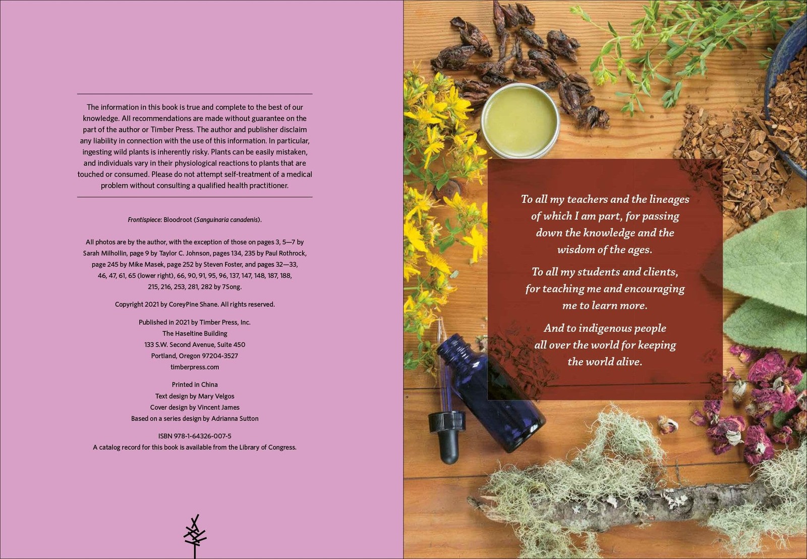 Medicinal Plants Southeast 106 Wild Herbs Identify Harvest Health Uses Book NEW