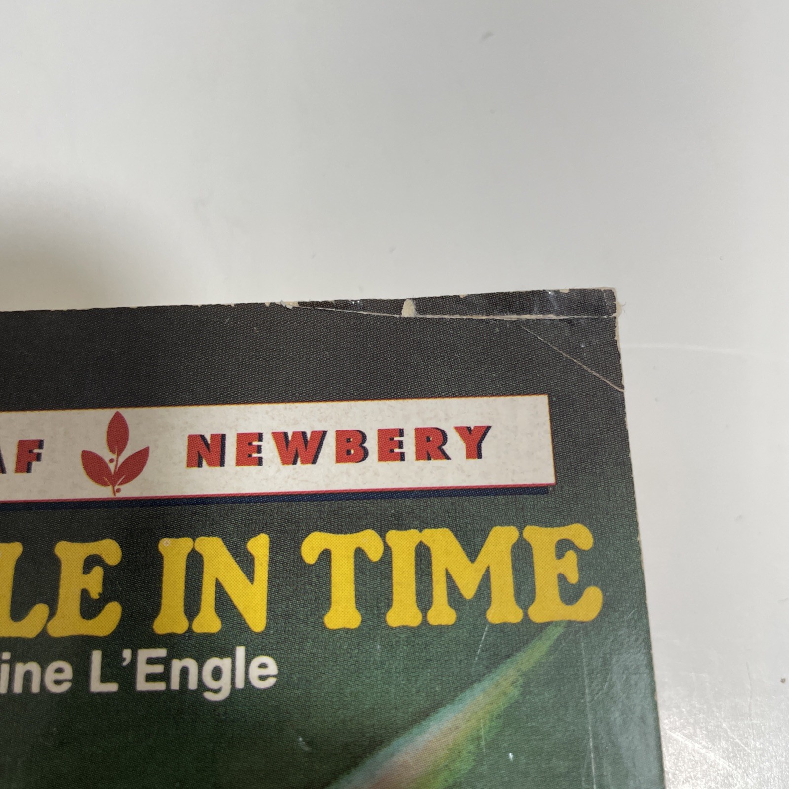 VTG Wrinkle in Time paperback by Madeleine L&rsquo;Engle 1976