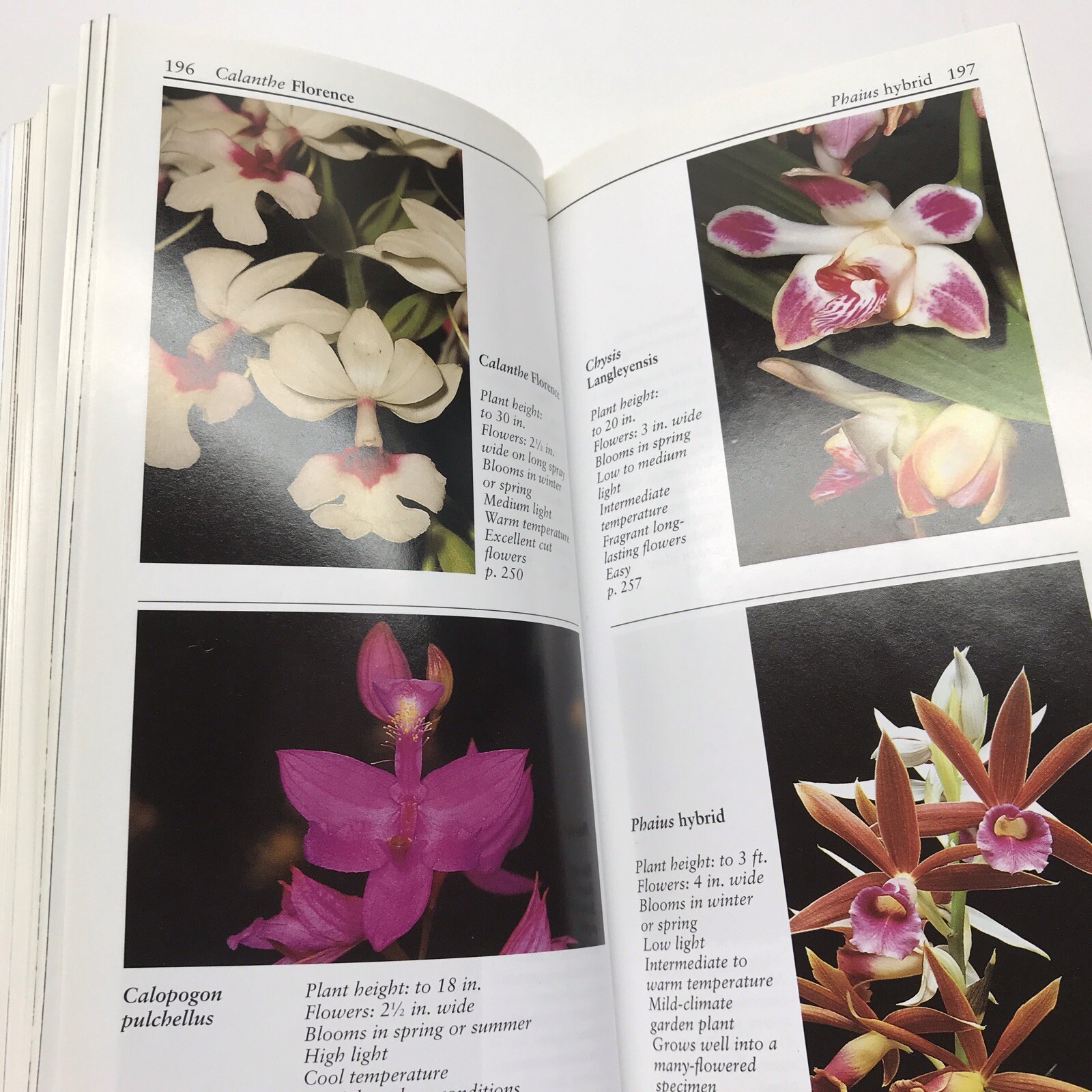 Taylor&rsquo;s Guide to Orchids~1996~Judy White~Ex Library