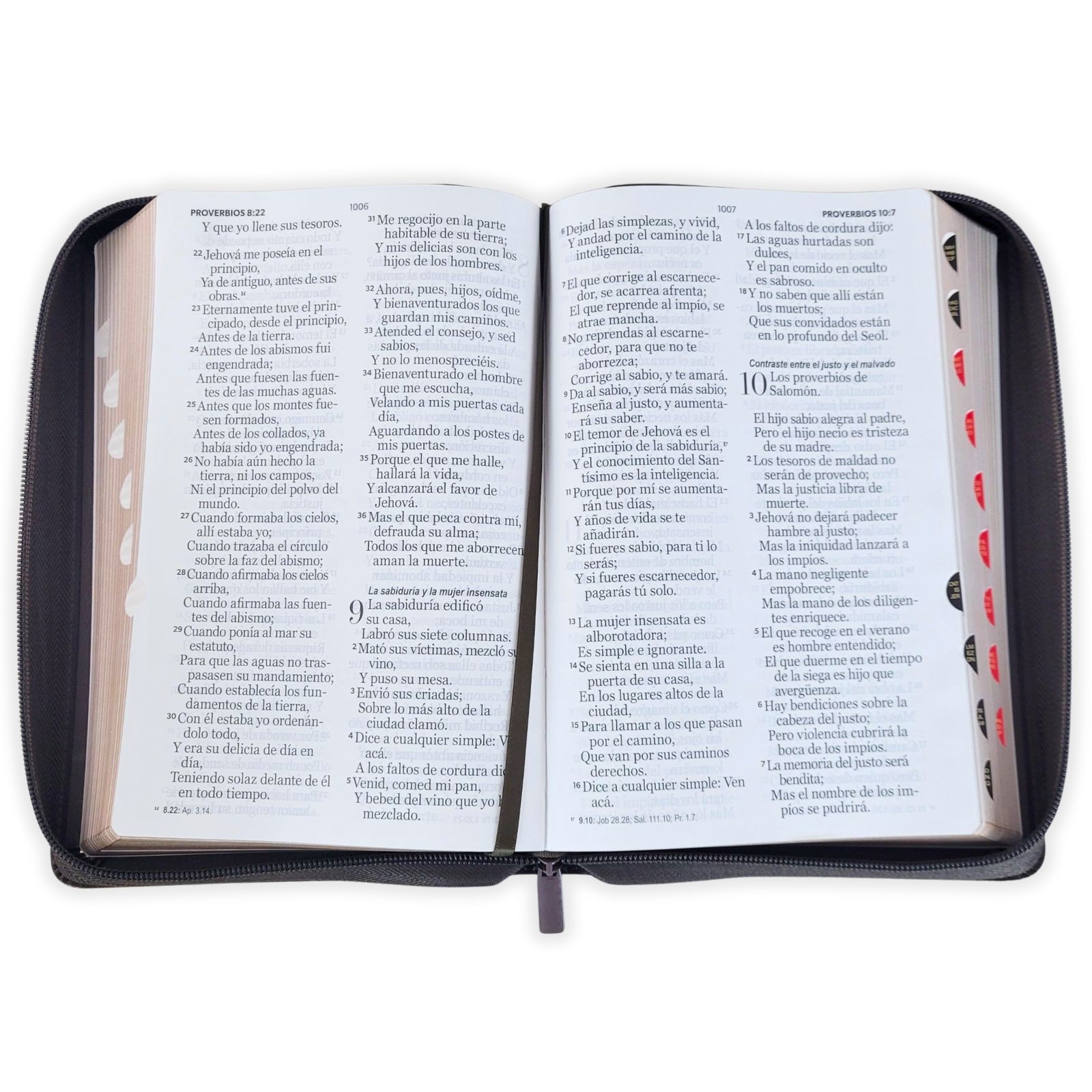 Biblia con Cierre Letra Gigante Manual 14 puntos RV1960 imit piel negro con i…