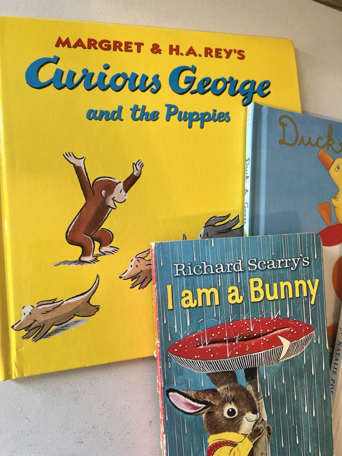 Picture Book Lot of 5 Books for Children&rsquo;s Kids Toddler Daycare Hardback Curious
