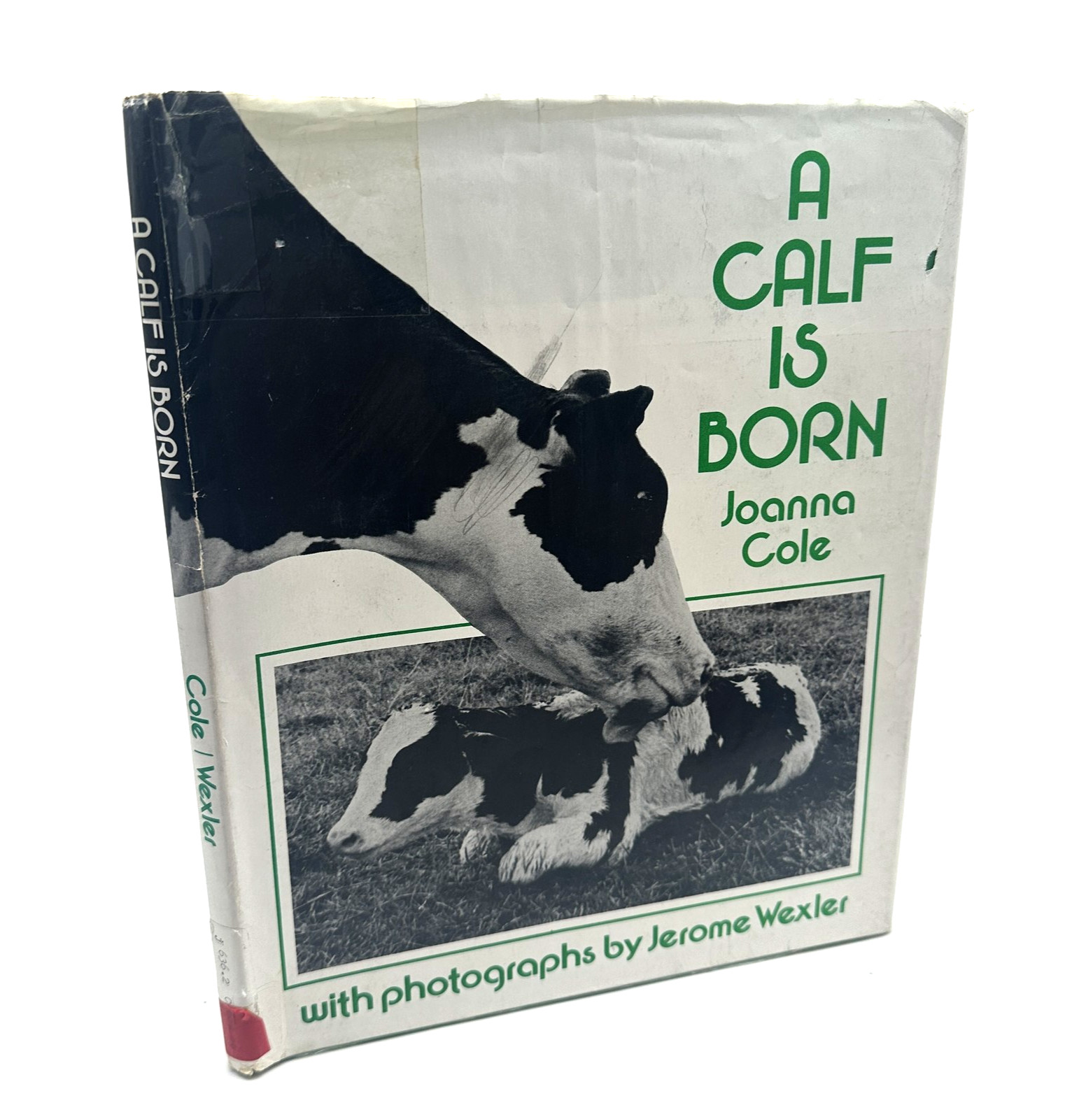 A Calf Is Born by Joanna Cole 1975 First Edition Jerome Wexler Photography
